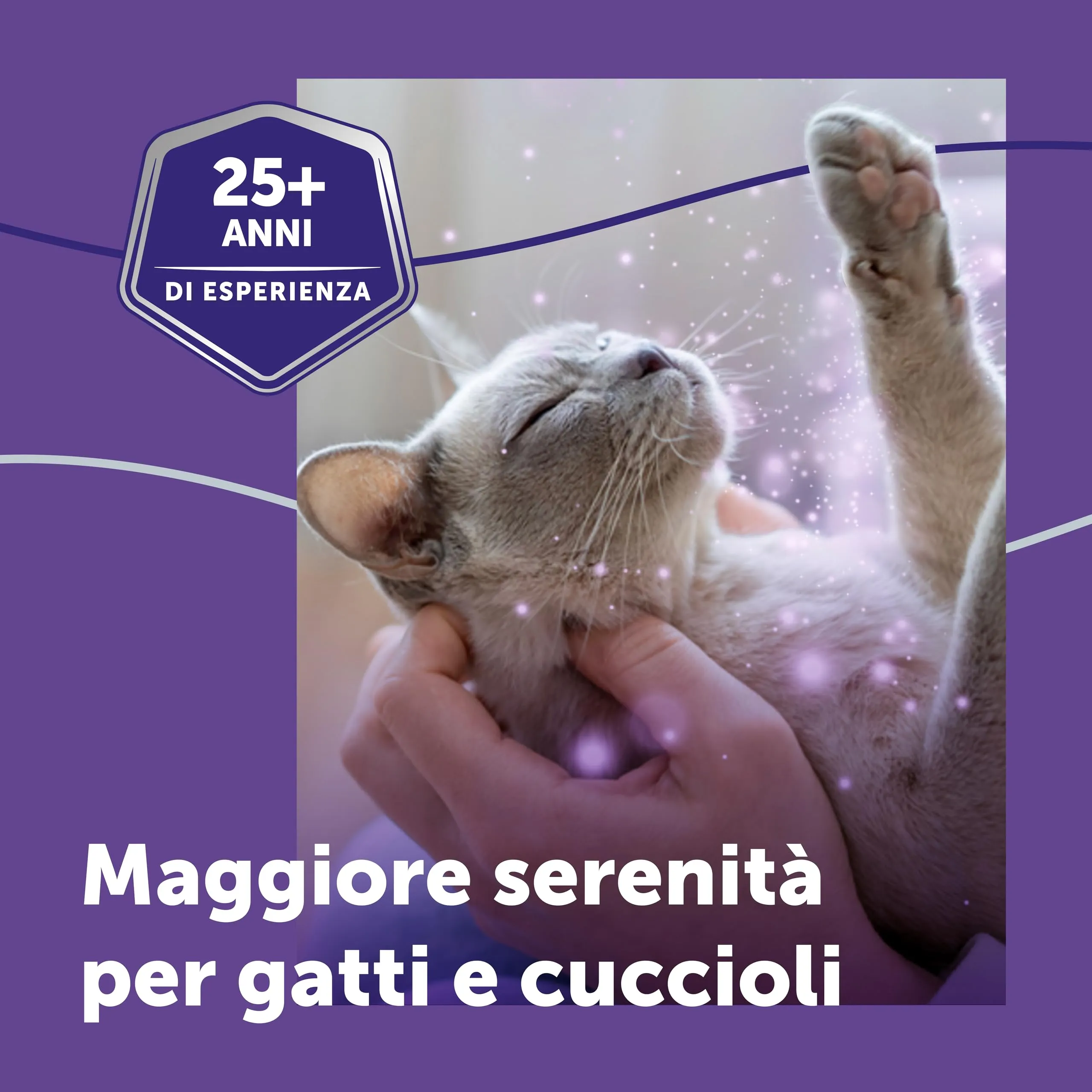 FELIWAY Optimum Ricarica calmante per diffusore di feromoni, 48 ml - immagine 4