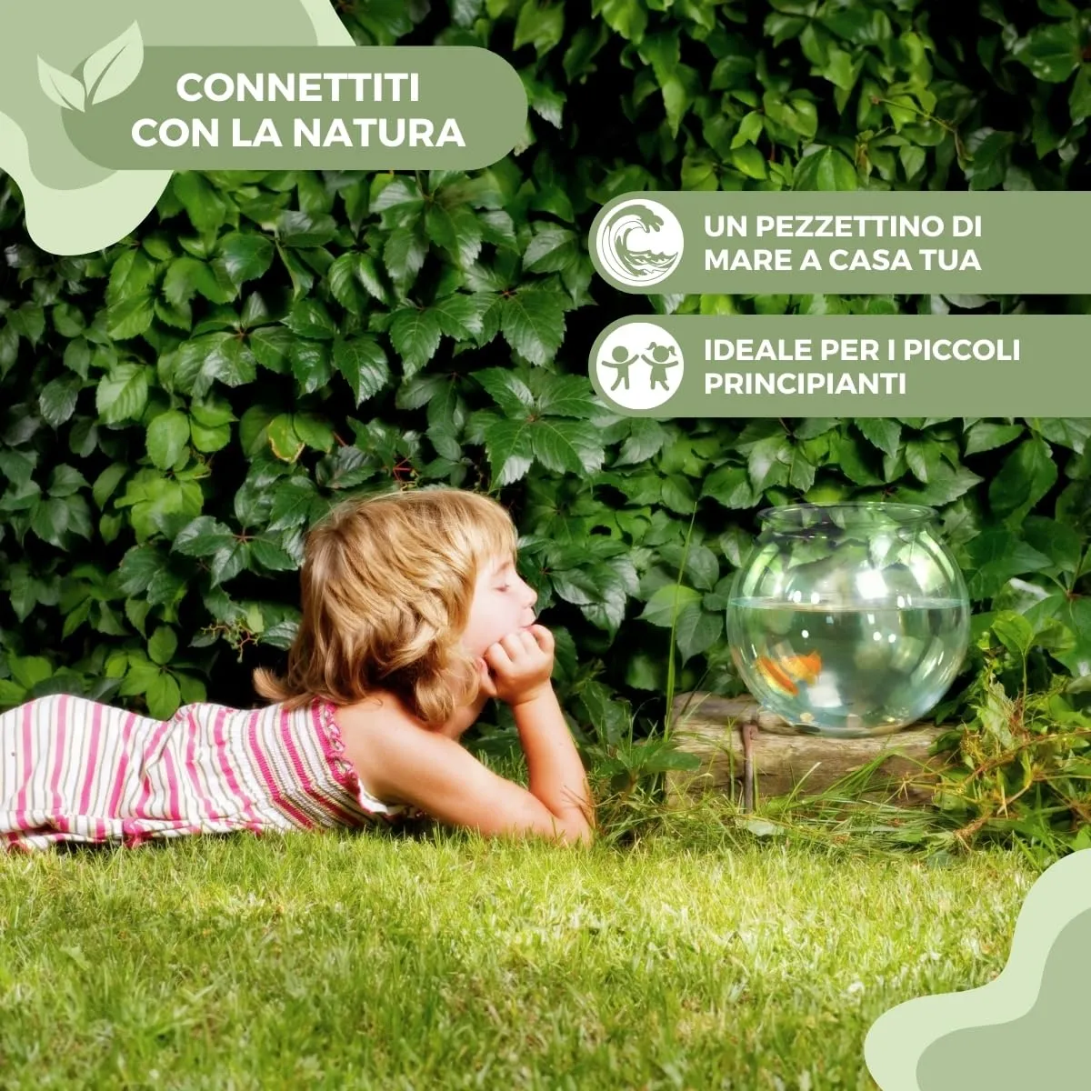 Mobiclinic Nemo Boccia per pesci, 4 litri, Plastica PET, Trasparente, 20x20x17,5 cm - immagine 4