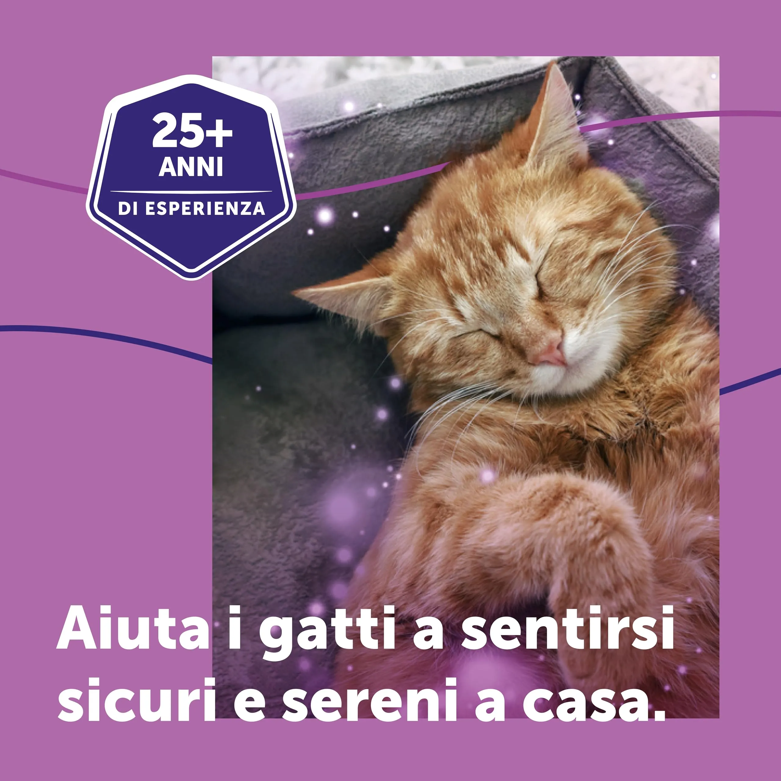 FELIWAY Classic Starter Kit Diffusore di Feromoni Calmanti per Gatti, 48 ml - immagine 4