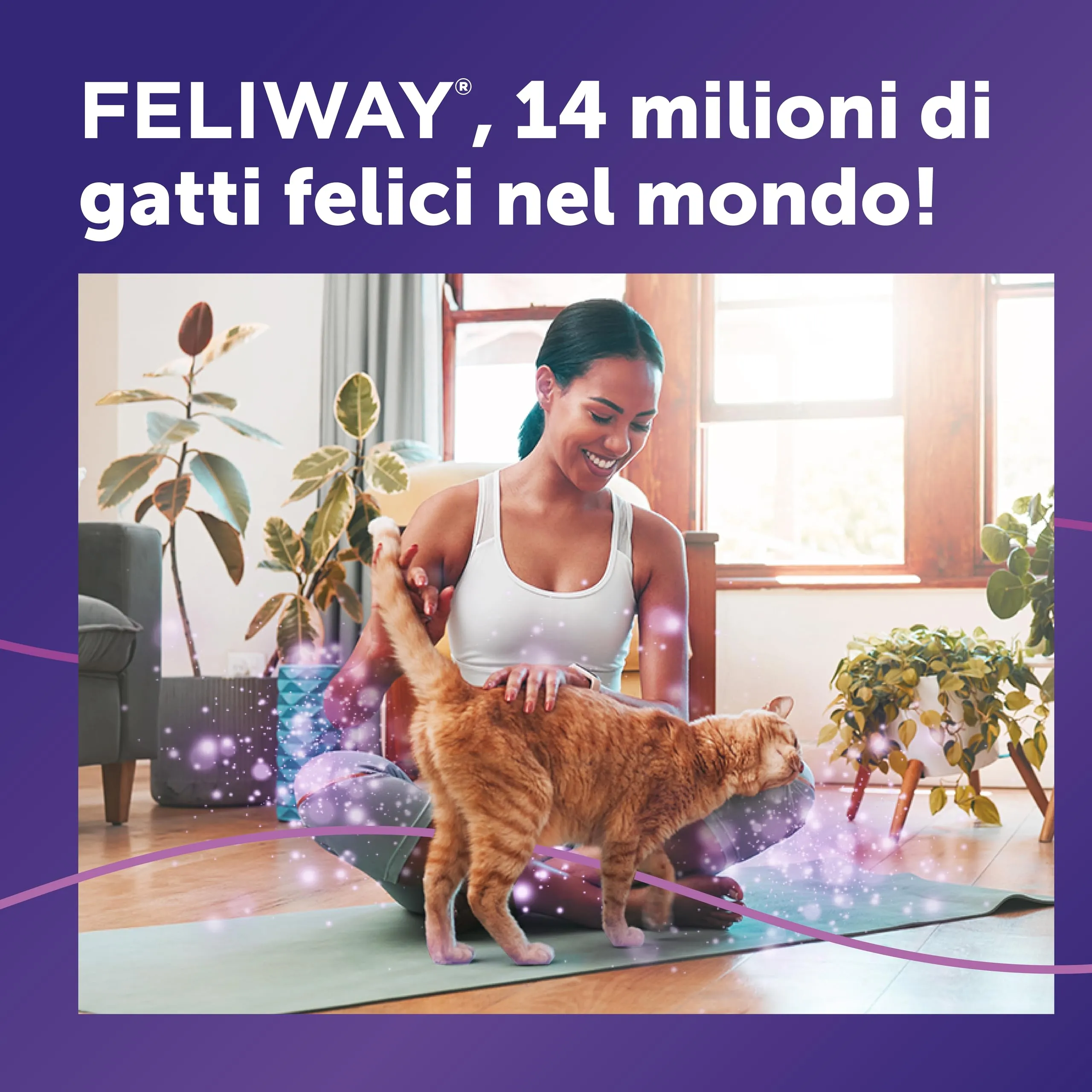 FELIWAY Classic Starter Kit Diffusore di Feromoni Calmanti per Gatti, 48 ml - immagine 6