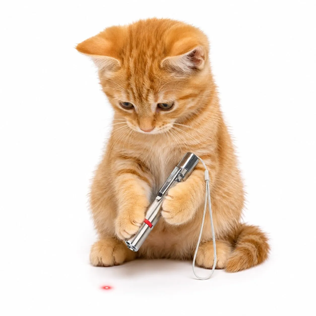 musapet Laser Puntatore per Gatti, Argento - immagine 1