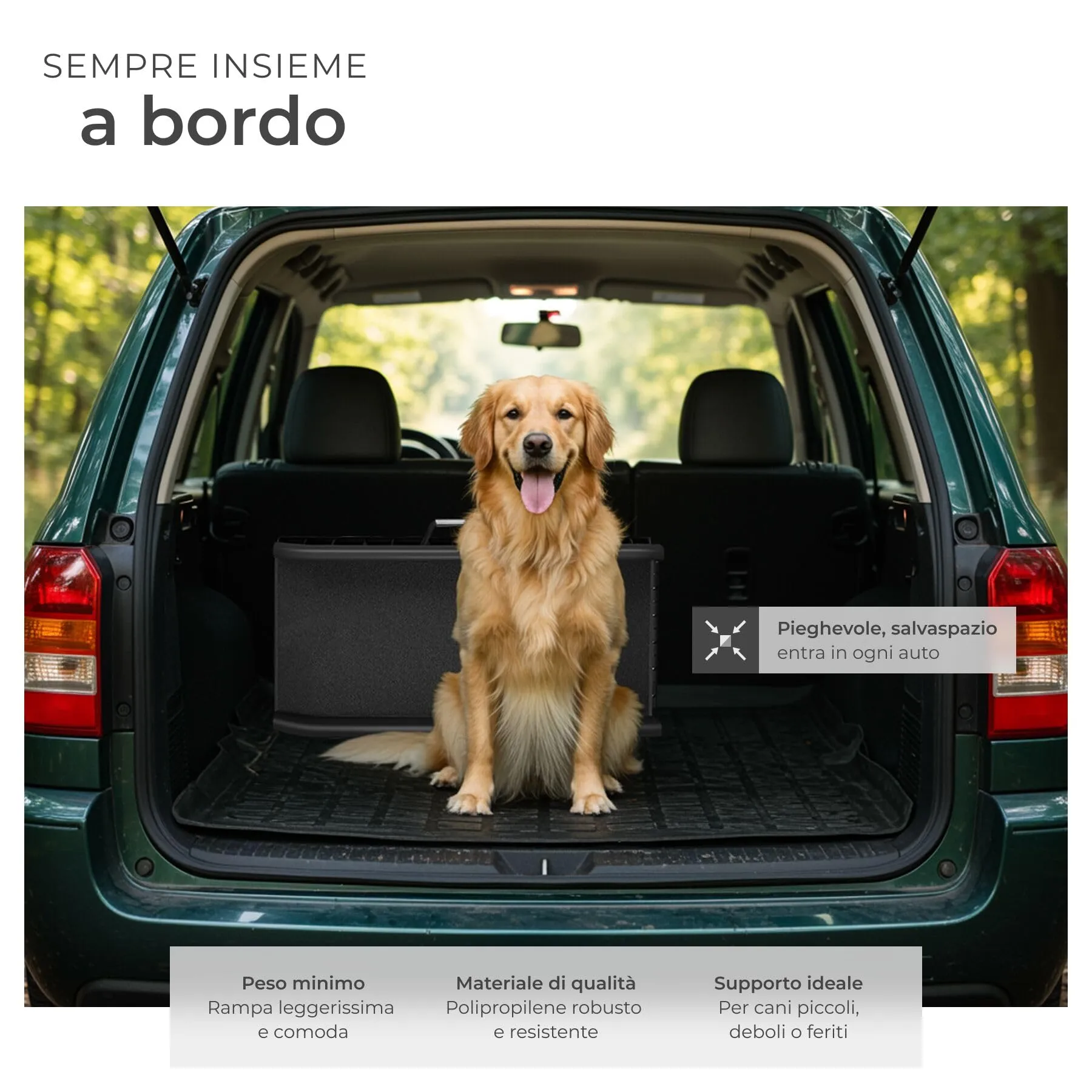 tectake Rampa per Cani Paw Step, Pieghevole e Antiscivolo, Supporto fino a 90kg, Nero - immagine 3