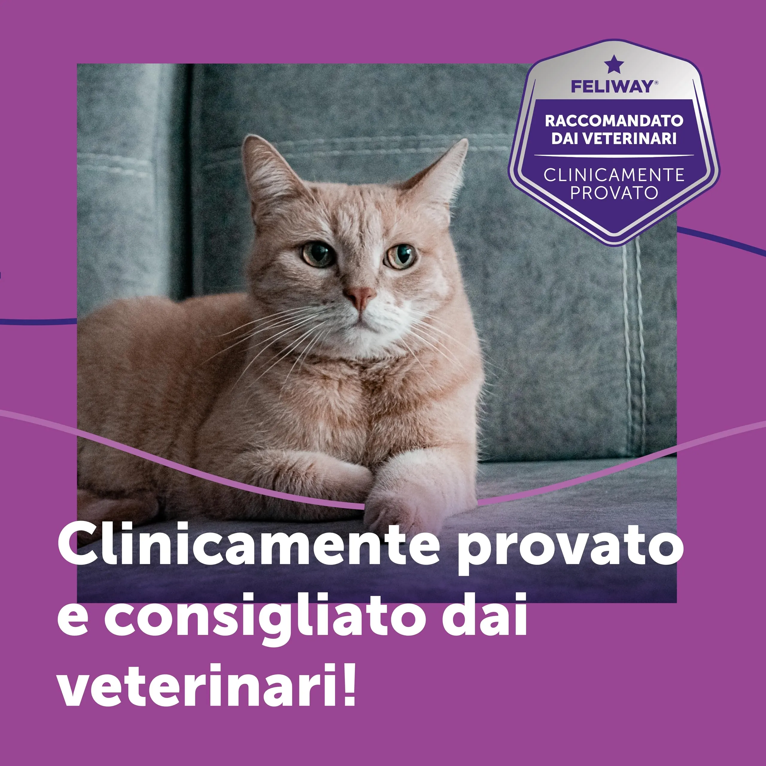 Feliway Classic Ricarica Diffusore di Feromoni Calmanti per Gatti, 48ml - immagine 8