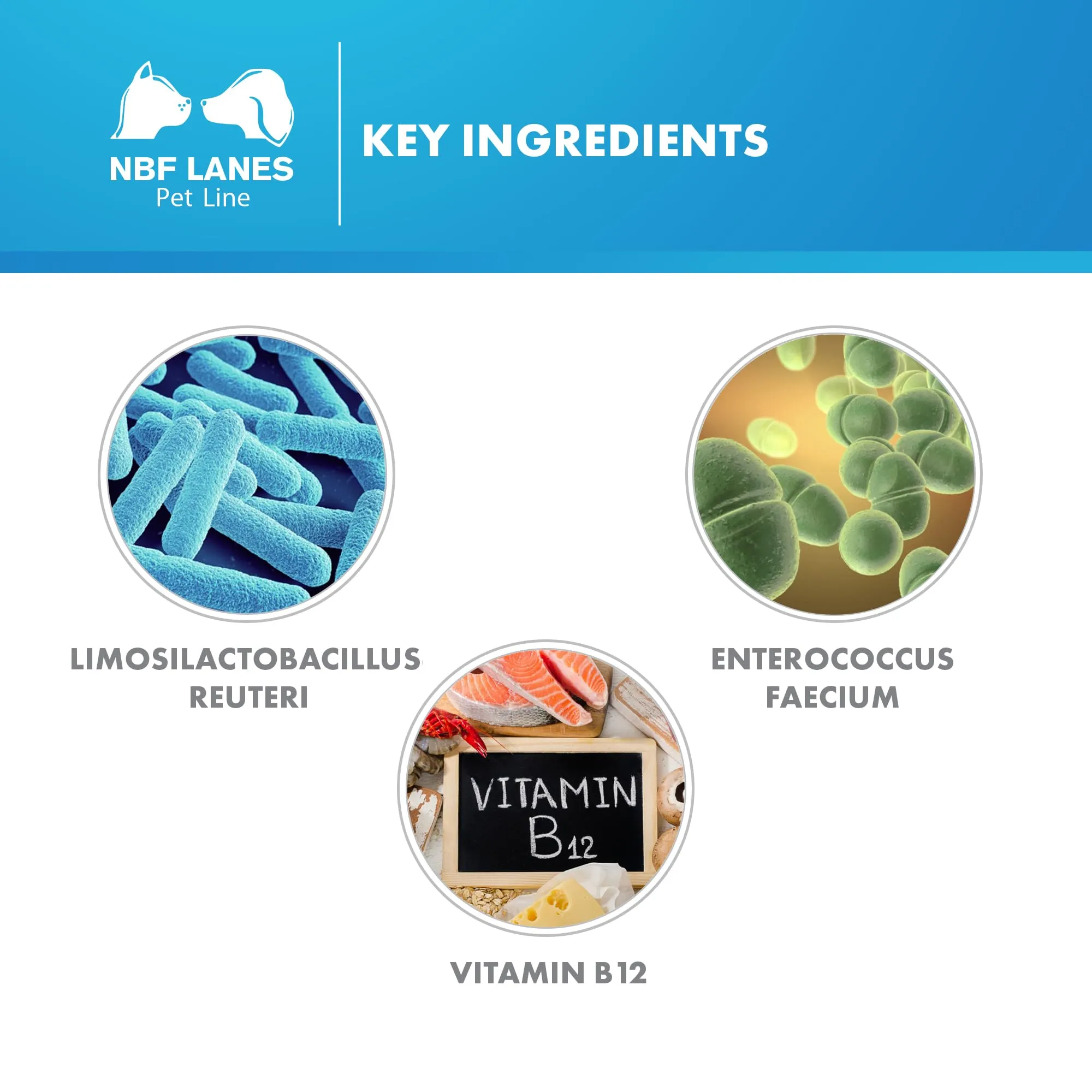 NBF Lanes Reuteral Pet Gatto, Gocce orali Probiotico per la Flora intestinale dei Gatti - immagine 5
