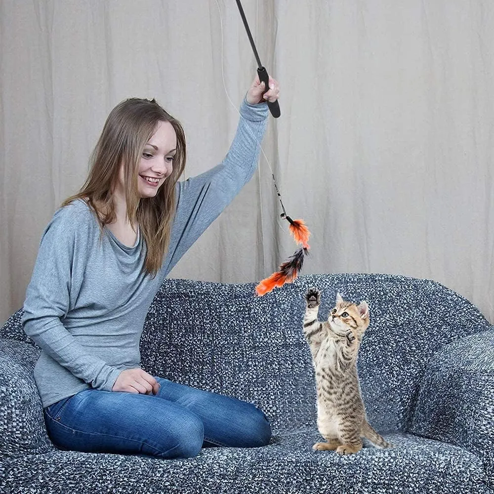 GOLDGE 17 Pezzi Giochi con Piume per Gatto, Giocattoli Interattivi per Gatti - immagine 6
