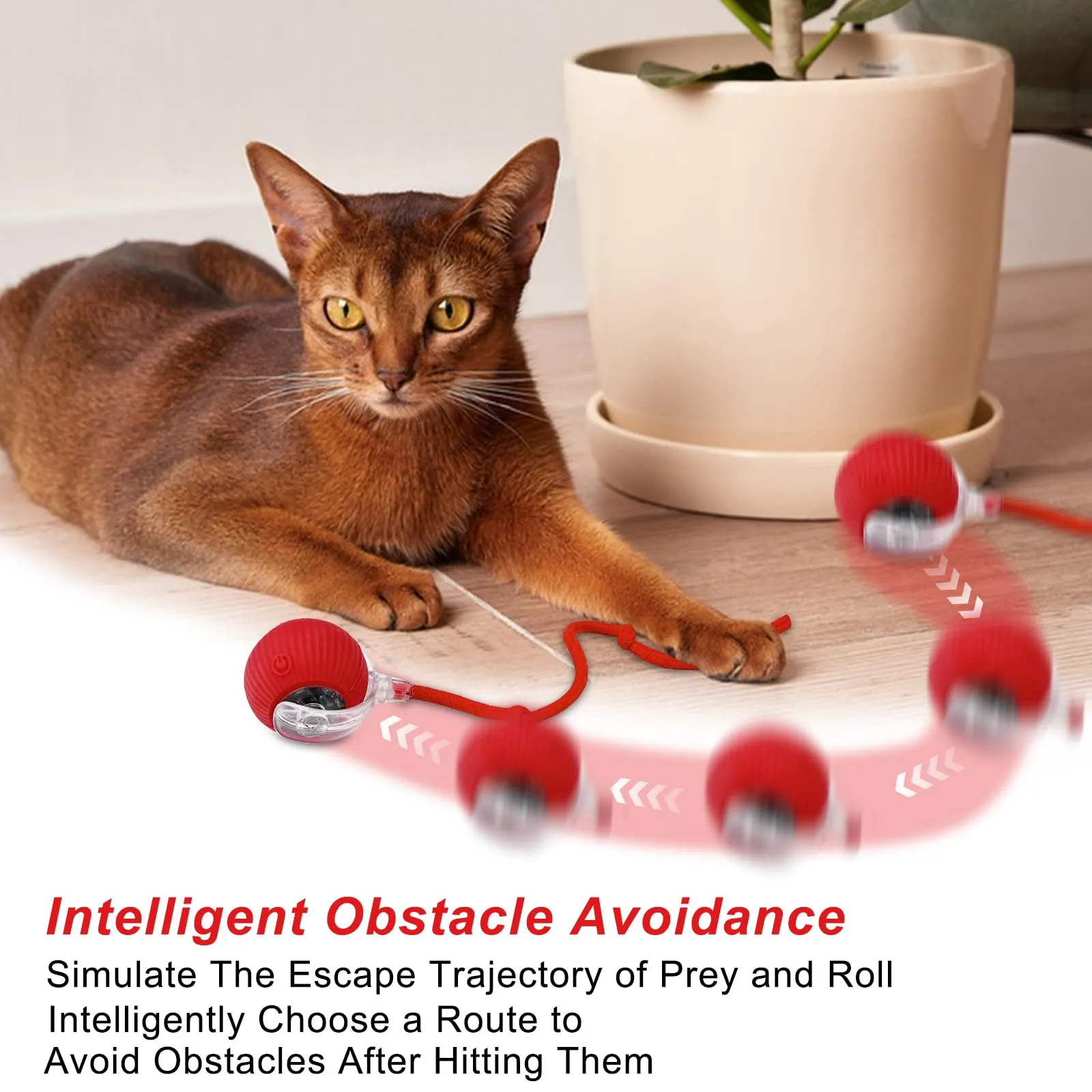 WinGluge Giocattolo Interattivo per Gatti e Cani, 2 Pezzi (Rosso e Verde) - immagine 4