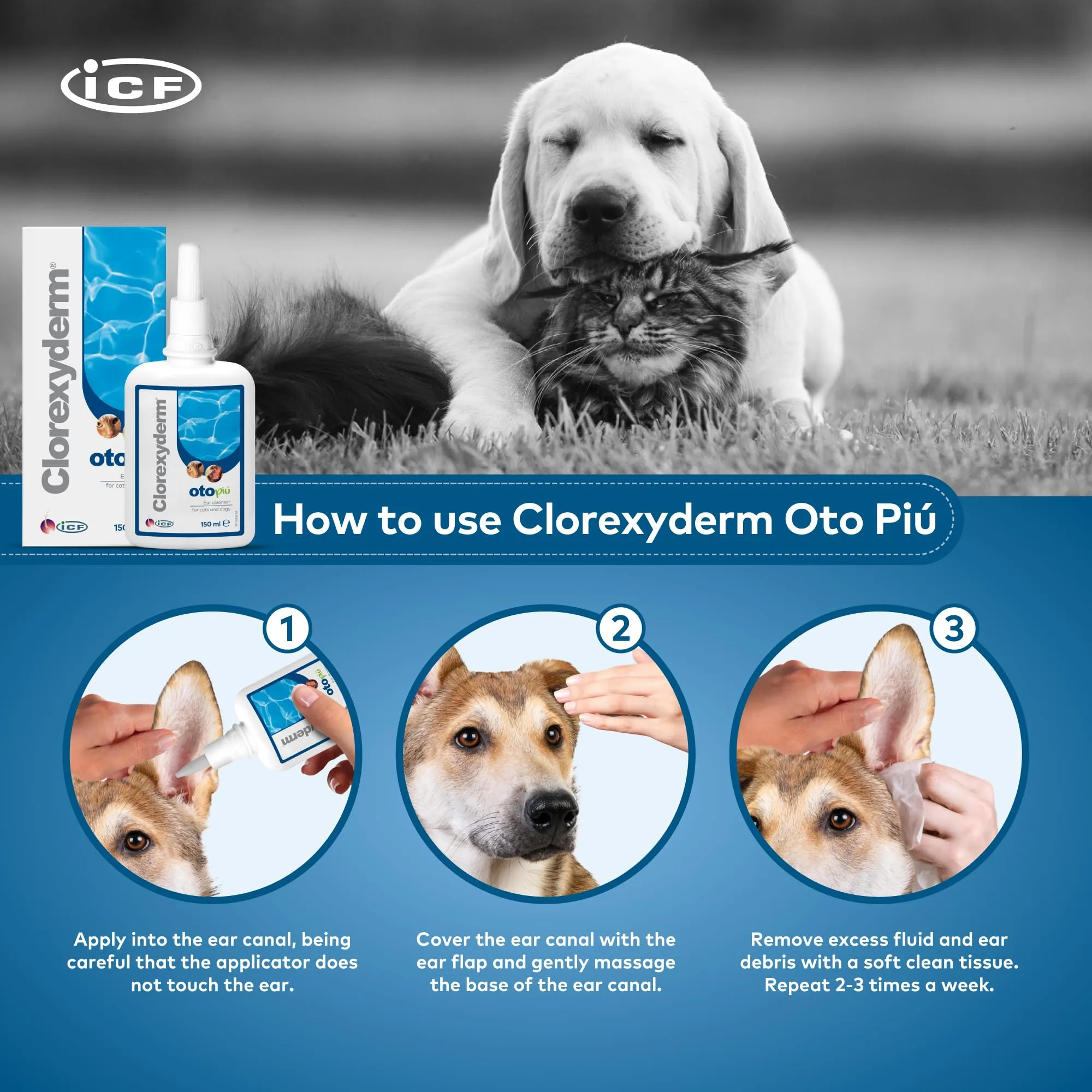 ICF Clorexyderm Oto Più Soluzione per la Pulizia delle Orecchie di Cani e Gatti 150 ml - immagine 3