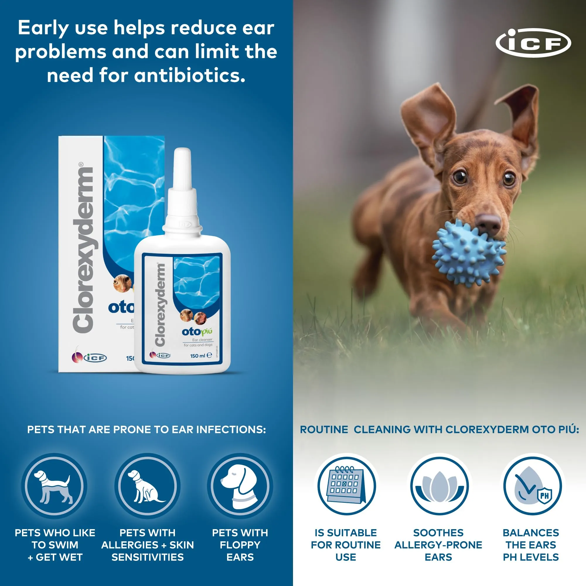 ICF Clorexyderm Oto Più Soluzione per la Pulizia delle Orecchie di Cani e Gatti 150 ml - immagine 5