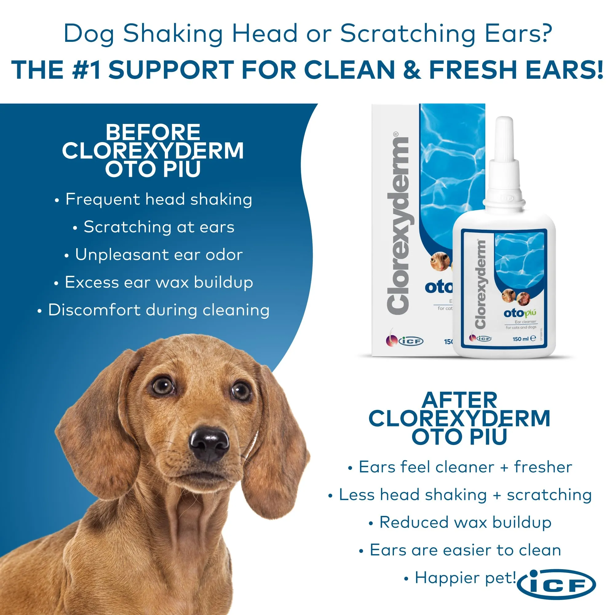 ICF Clorexyderm Oto Più Soluzione per la Pulizia delle Orecchie di Cani e Gatti 150 ml - immagine 7