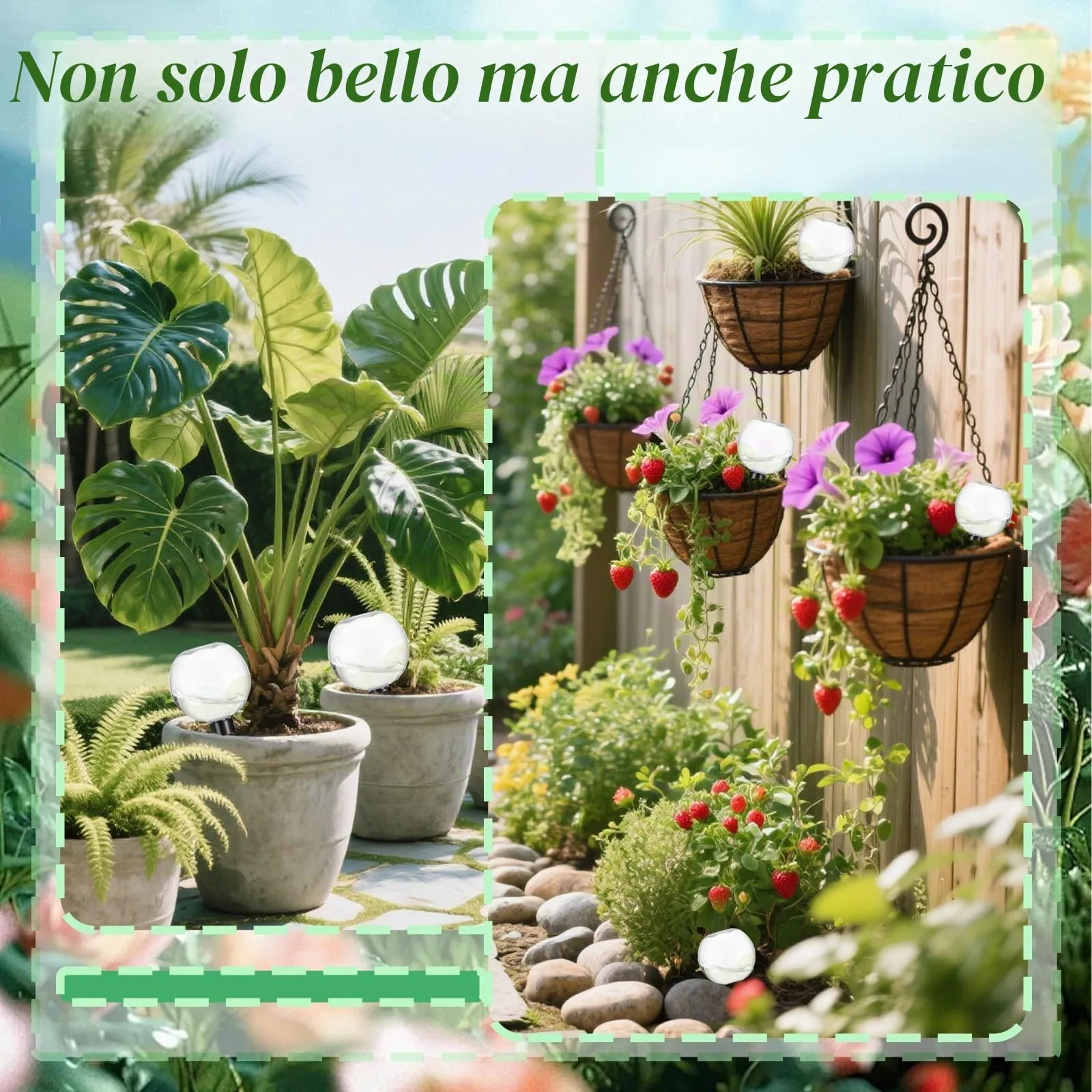 HaploS Globi per Irrigazione Piante, Sfere Trasparenti per Irrigazione a Goccia Automatica, Set da 4 Pezzi - immagine 6