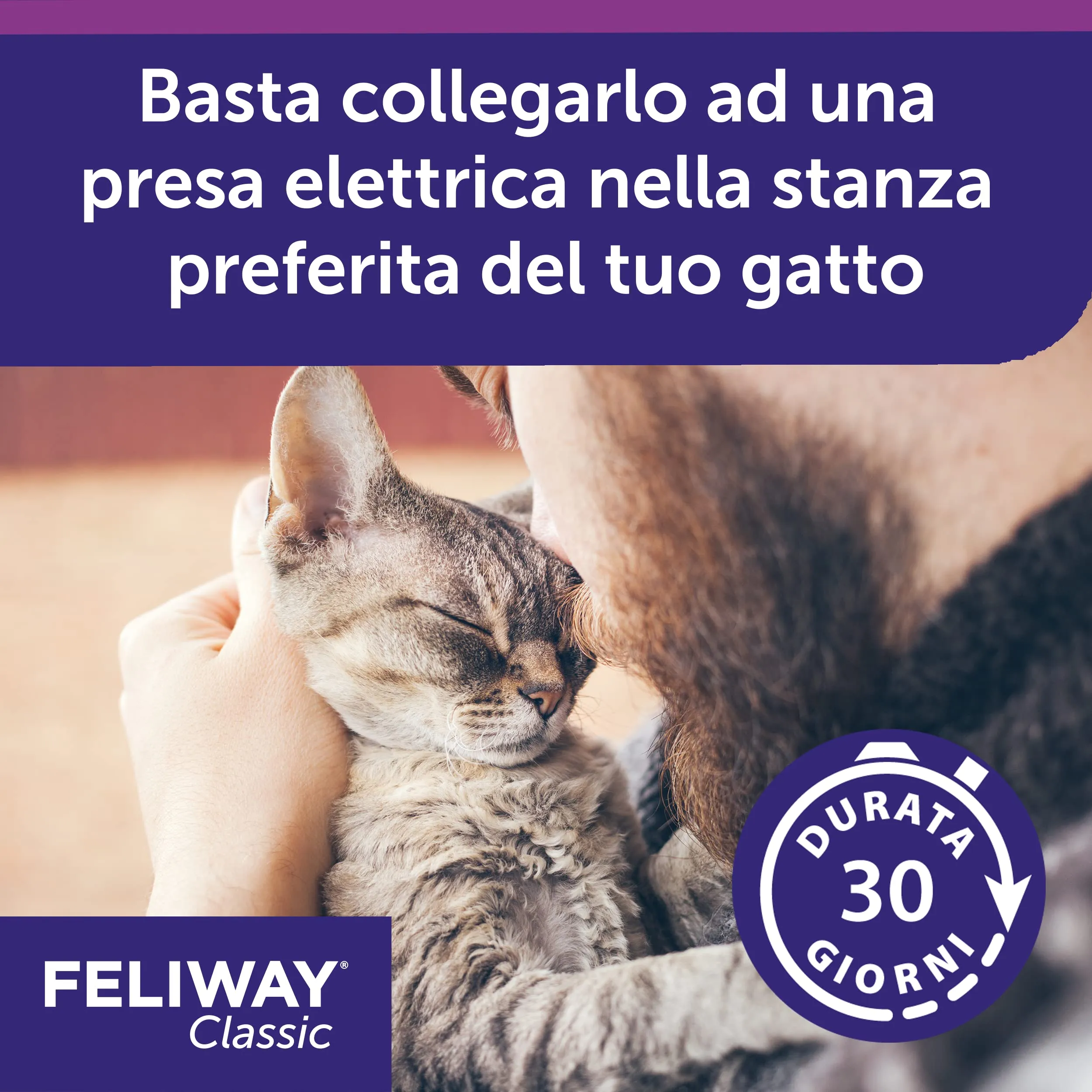 Feliway Classic Spray Feromoni Calmanti per Gatti, 60ml - immagine 3