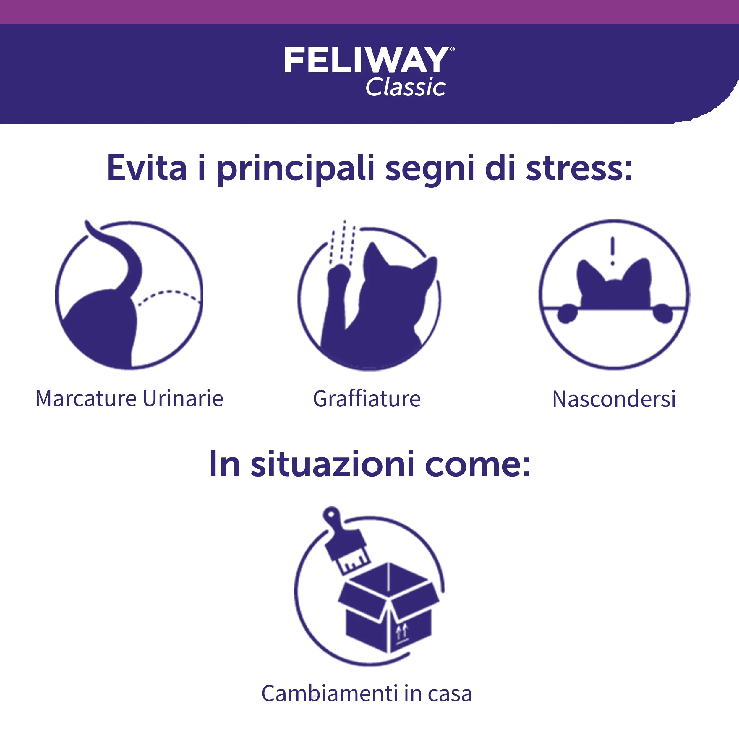 Feliway Classic Spray Feromoni Calmanti per Gatti, 60ml - immagine 5