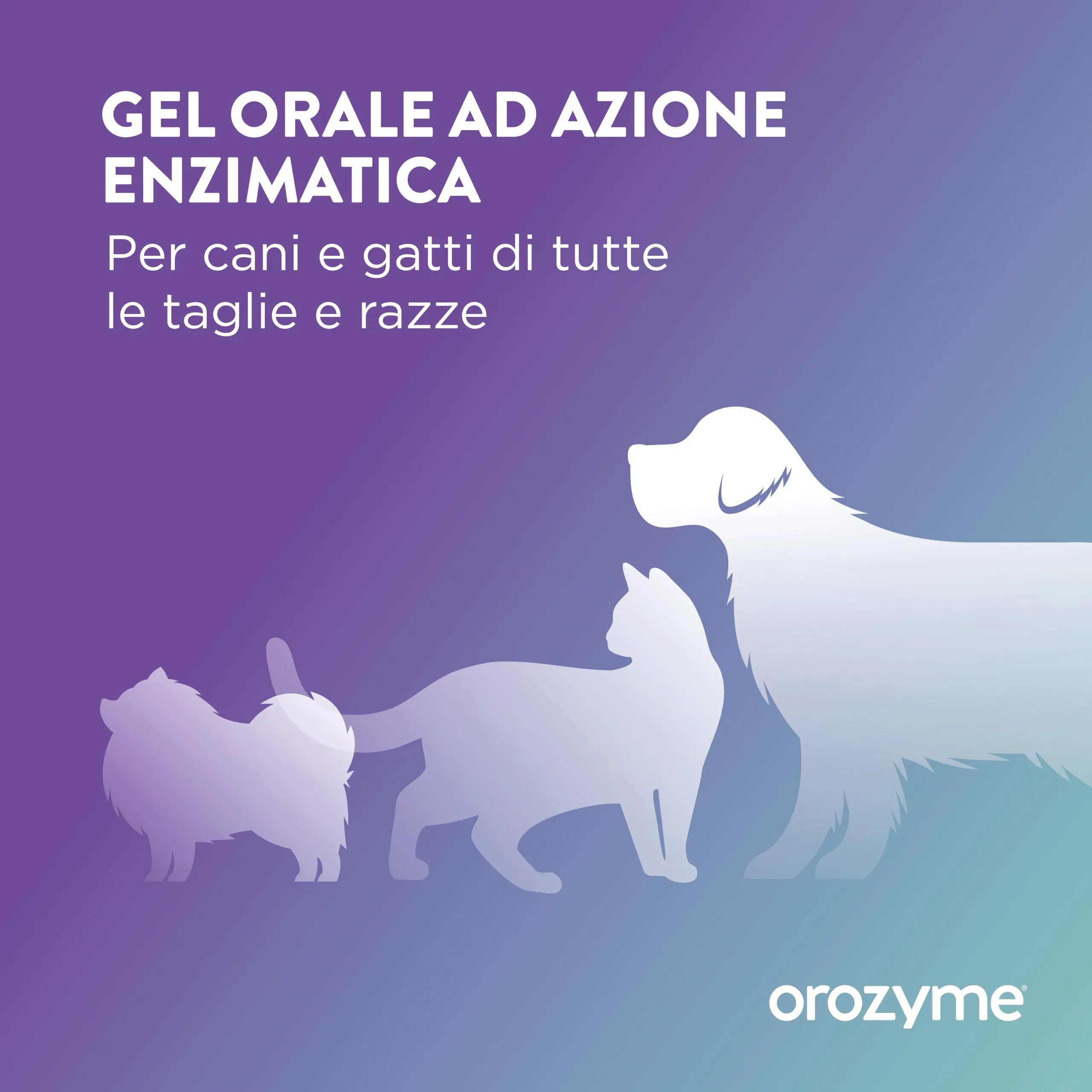Ecuphar Gel Dentale per Cani e Gatti, 70 g - immagine 5