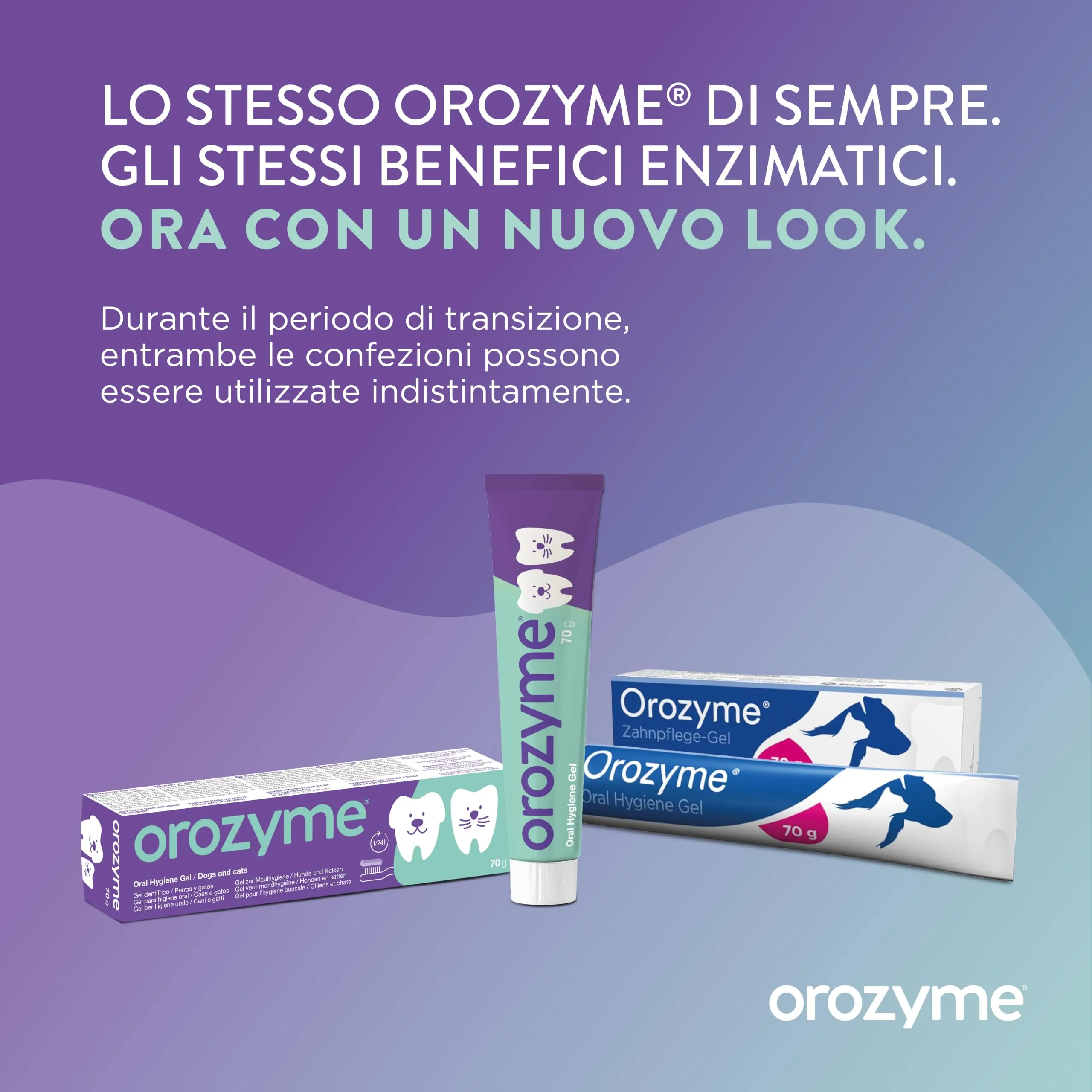 Ecuphar Gel Dentale per Cani e Gatti, 70 g - immagine 9