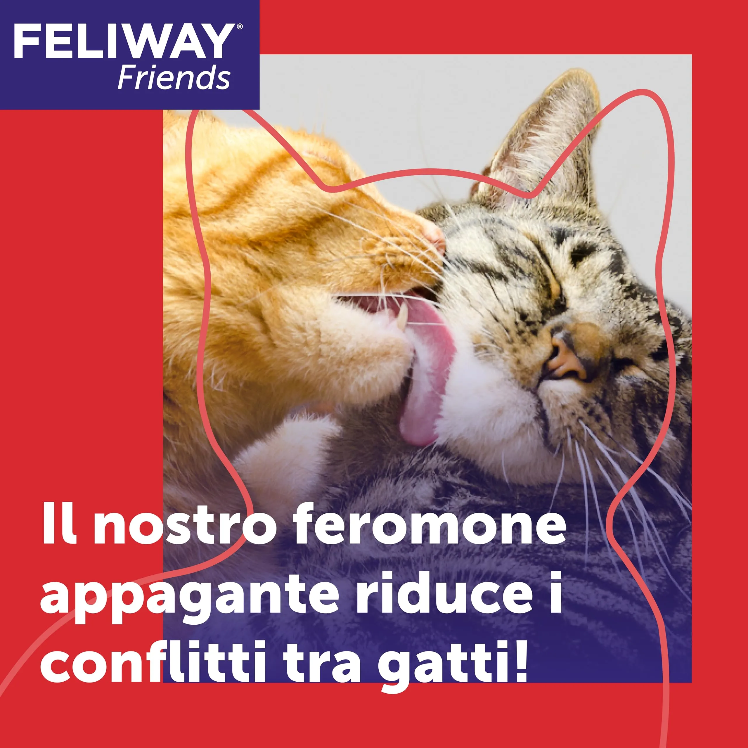 FELIWAY Friends Diffusore di Feromoni Calmanti per Gatti, Starter Kit, 48 ml, Rosso - immagine 2
