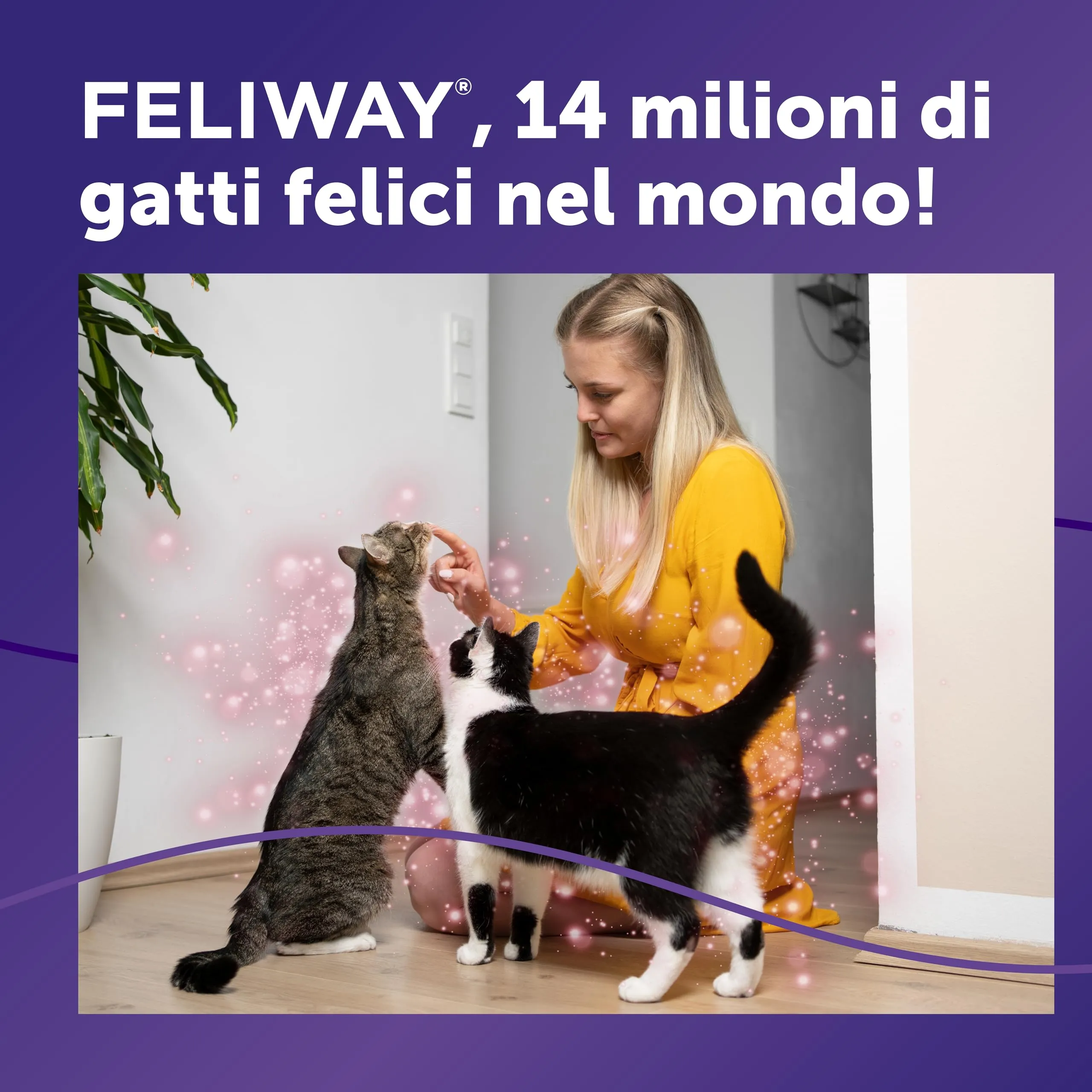 FELIWAY Friends Diffusore di Feromoni Calmanti per Gatti, Starter Kit, 48 ml, Rosso - immagine 6