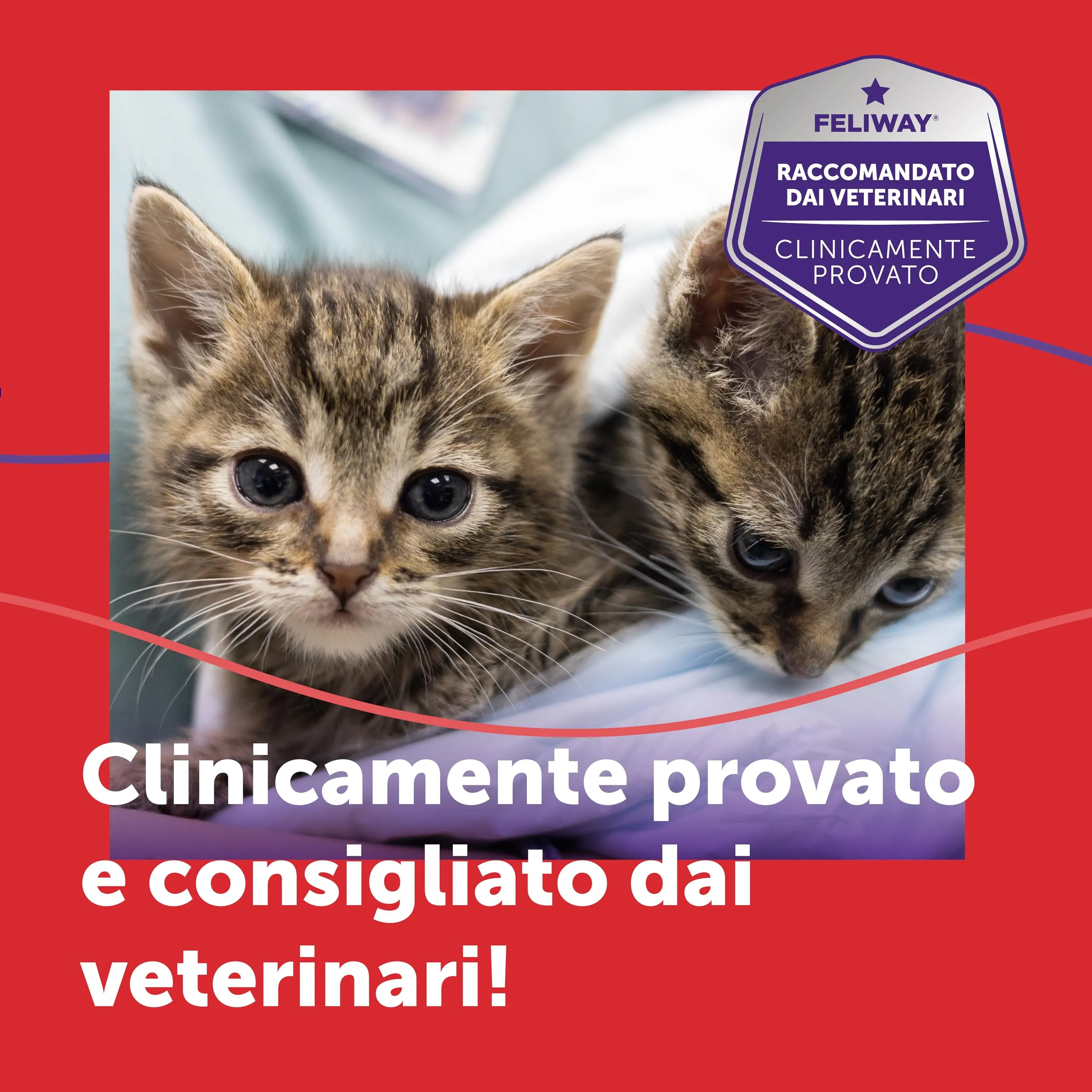 FELIWAY Friends Diffusore di Feromoni Calmanti per Gatti, Starter Kit, 48 ml, Rosso - immagine 8