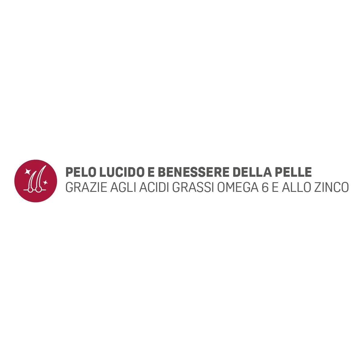 Trainer Natural Cat Adult con Pollo 3 kg - immagine 4