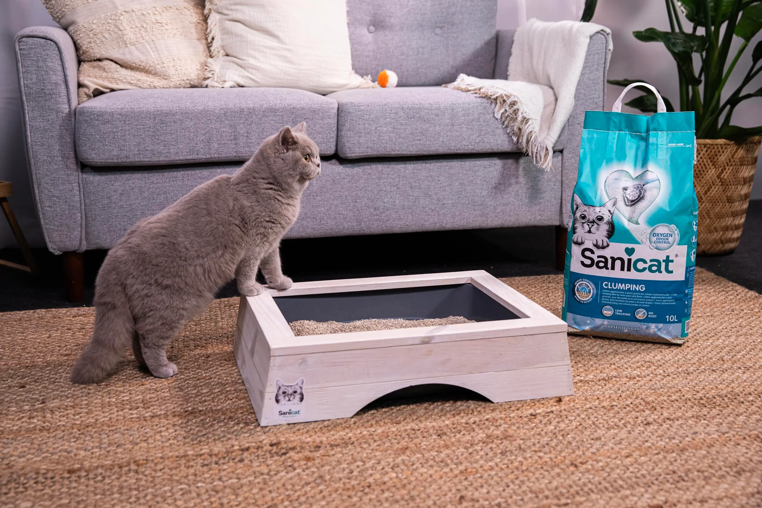 Sanicat Lettiera per Gatti Agglomerante al Sapone di Marsiglia, 10 L - immagine 9