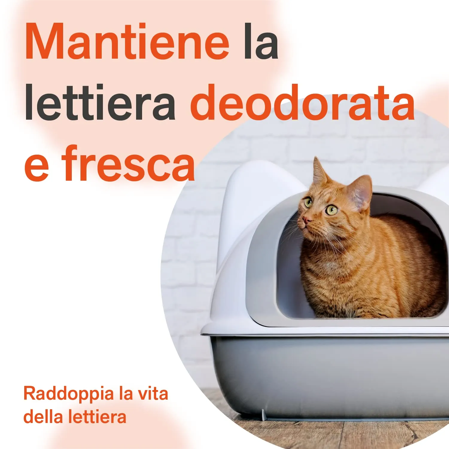 BactPro BactPets Elimina Odori e Macchie per Cani e Gatti, Spray 700 ml - immagine 6