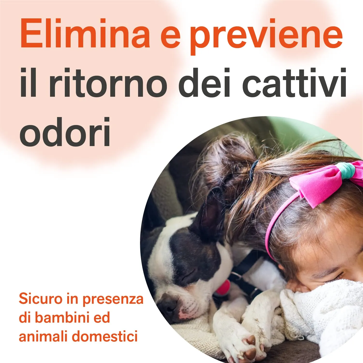 BactPro BactPets Elimina Odori e Macchie per Cani e Gatti, Spray 700 ml - immagine 7