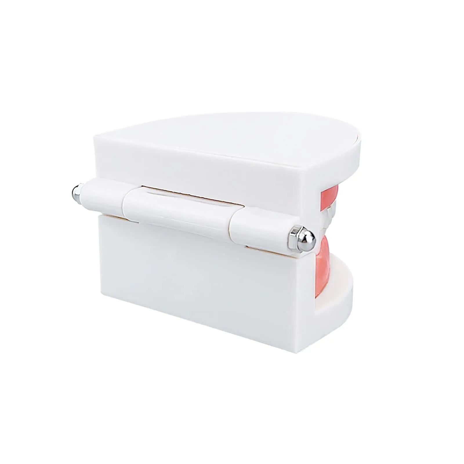 YOUYA DENTAL Adult Standard Typodont Teeth Demonstration Model TM-050 - immagine 9