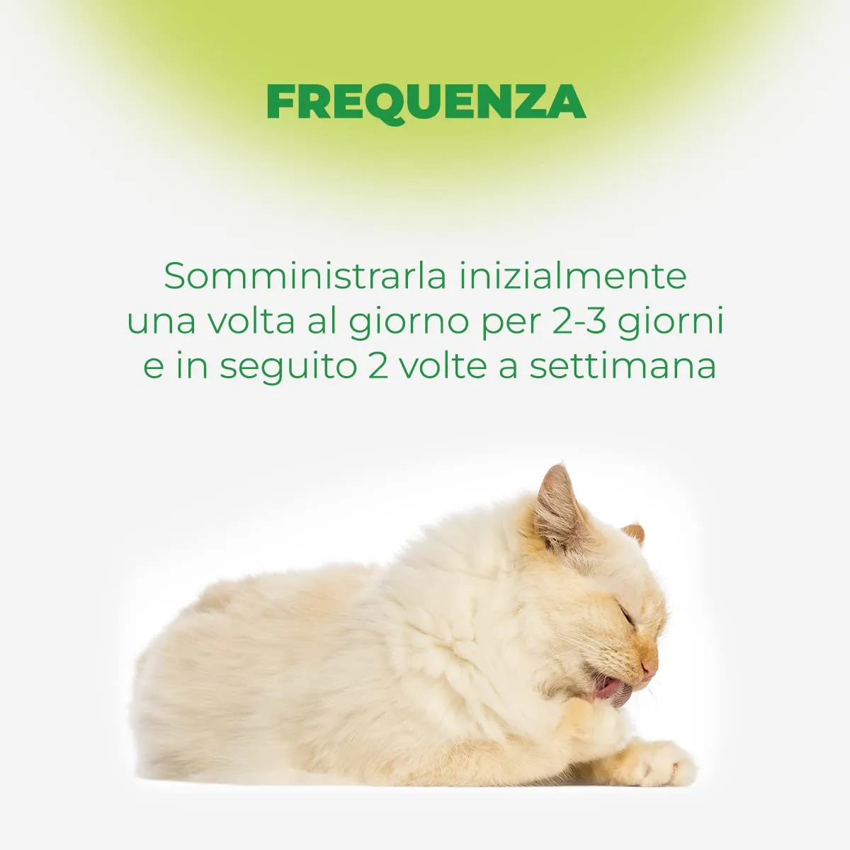 Remover Mangime Complementare per Gatti all'Aroma di Pesce con Vitamina E per Boli di Pelo, 50g - immagine 4
