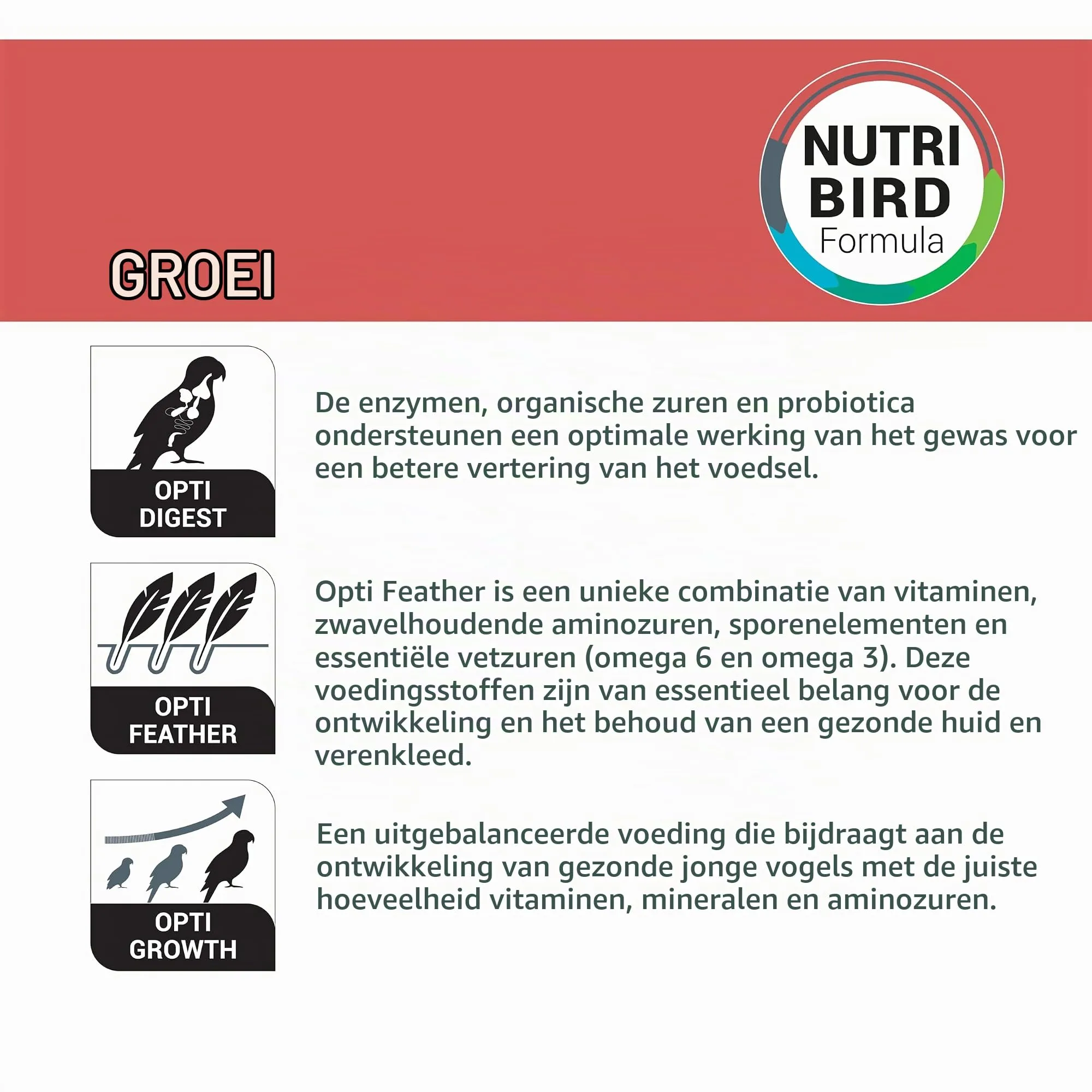 Versele-Laga NutriBird A21 Pappina da imbecco per uccelli con prebiotici, 2 x 250 g - immagine 6