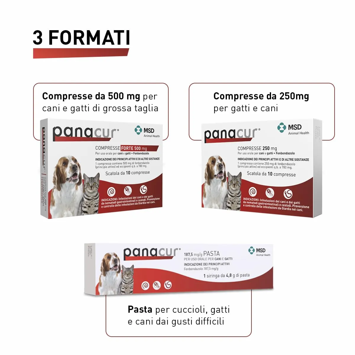 Panacur Compresse 250mg per Cani e Gatti - immagine 5