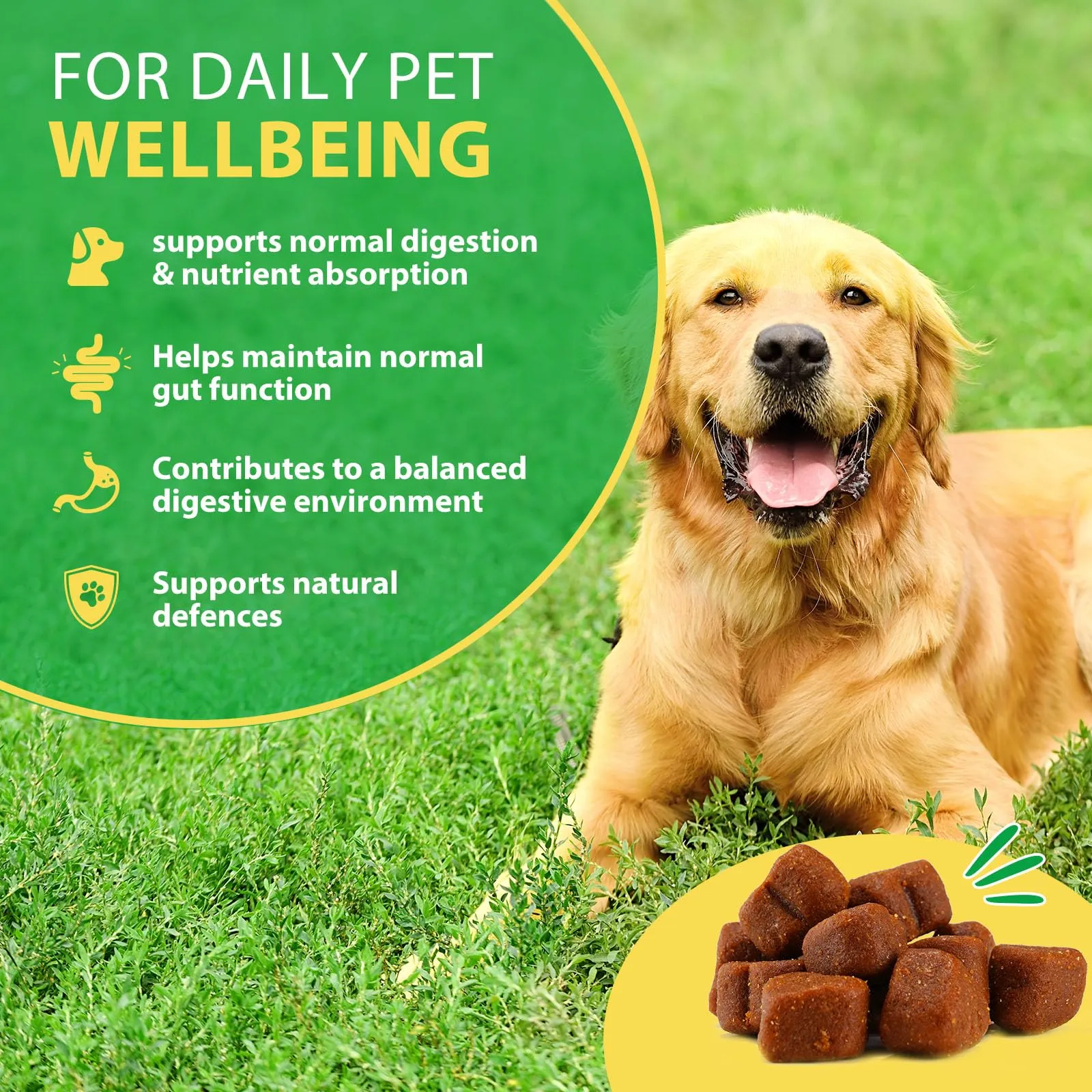 CiAIplw Probiotici per Cani, Integratore Digestivo con Enzimi e Prebiotici, Gusto Anatra, 120 Chews - immagine 3