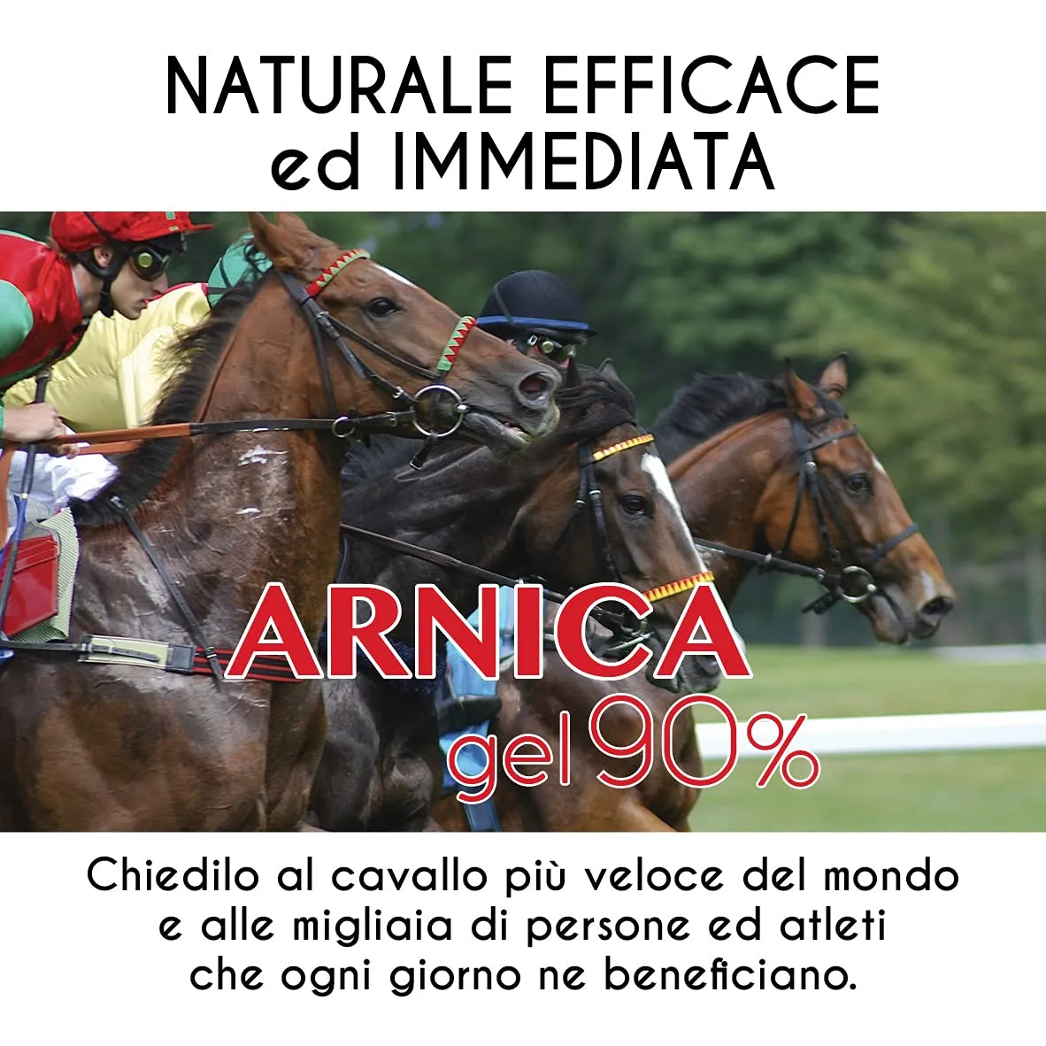 OFFICINALIS FOR HORSES Arnica Gel 90%, Massage for Muscles and Joints, 500 ml - immagine 4