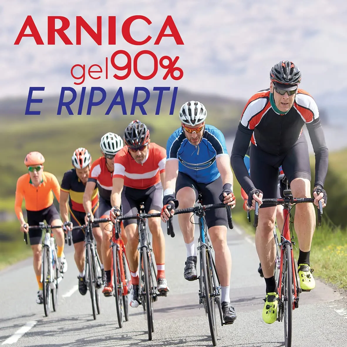 OFFICINALIS FOR HORSES Arnica Gel 90%, Massage for Muscles and Joints, 500 ml - immagine 5