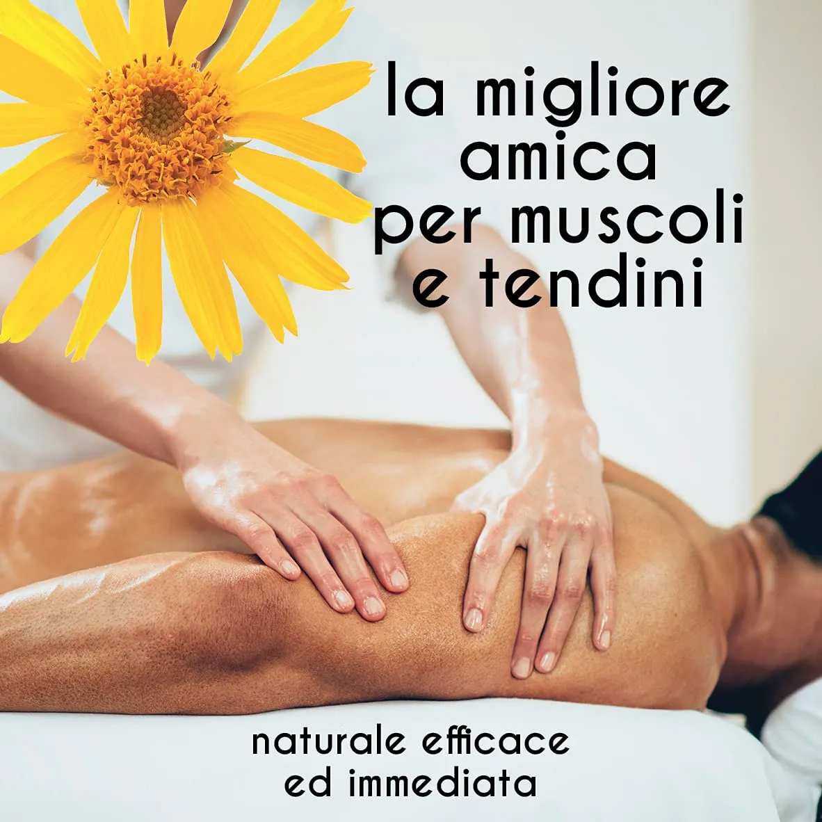 OFFICINALIS FOR HORSES Arnica Gel 90%, Massage for Muscles and Joints, 500 ml - immagine 6