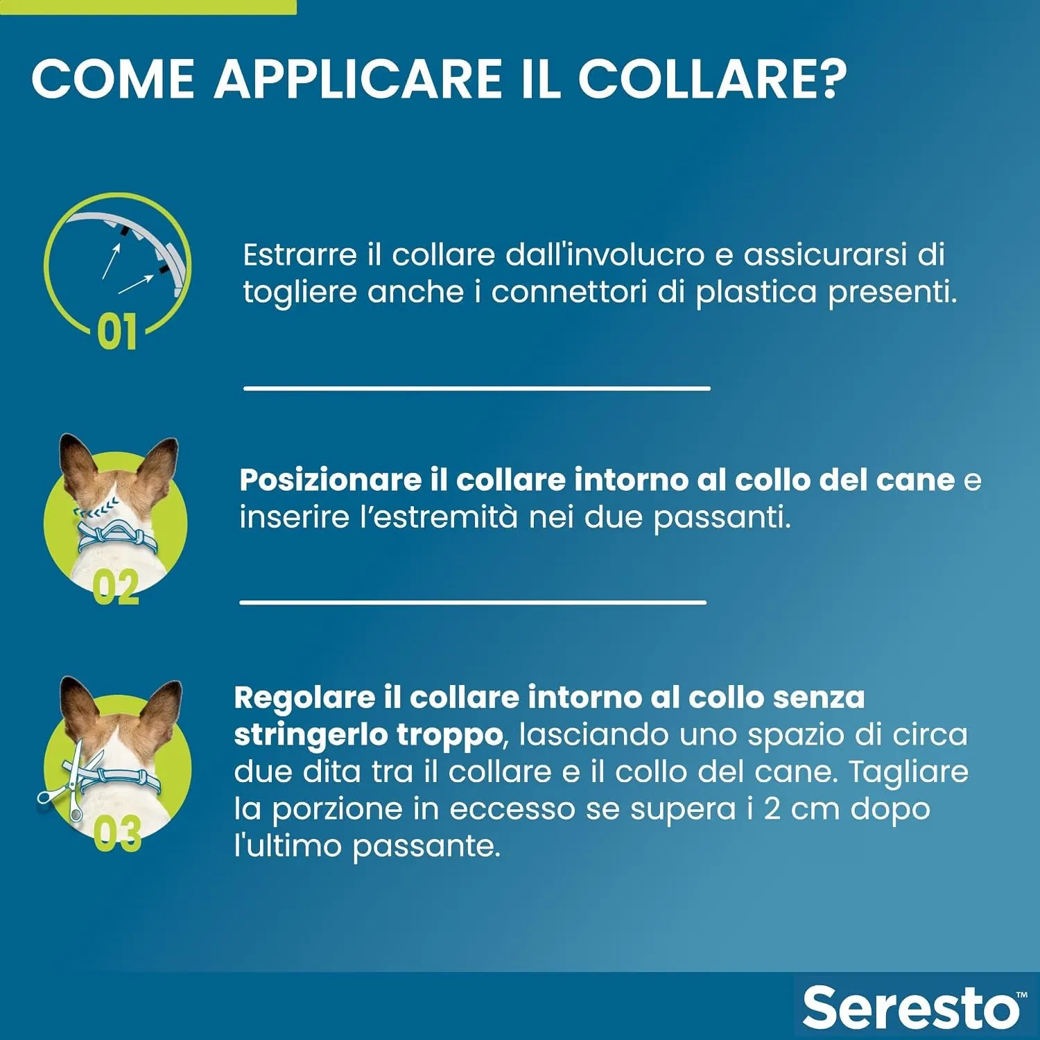 Seresto Collare per Cani fino a 8kg, Nylon, Piccola Taglia - immagine 4