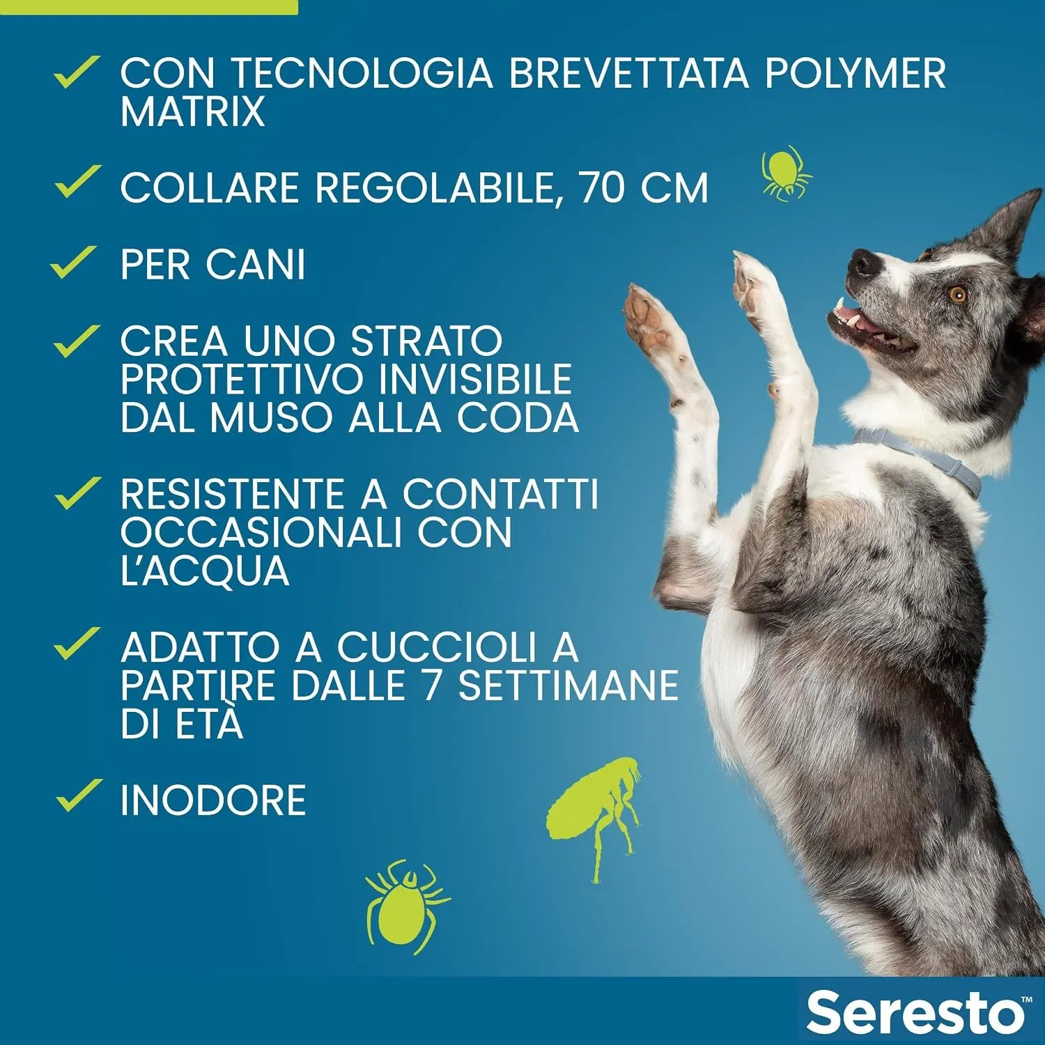 Seresto Collare per Cani fino a 8kg, Nylon, Piccola Taglia - immagine 7