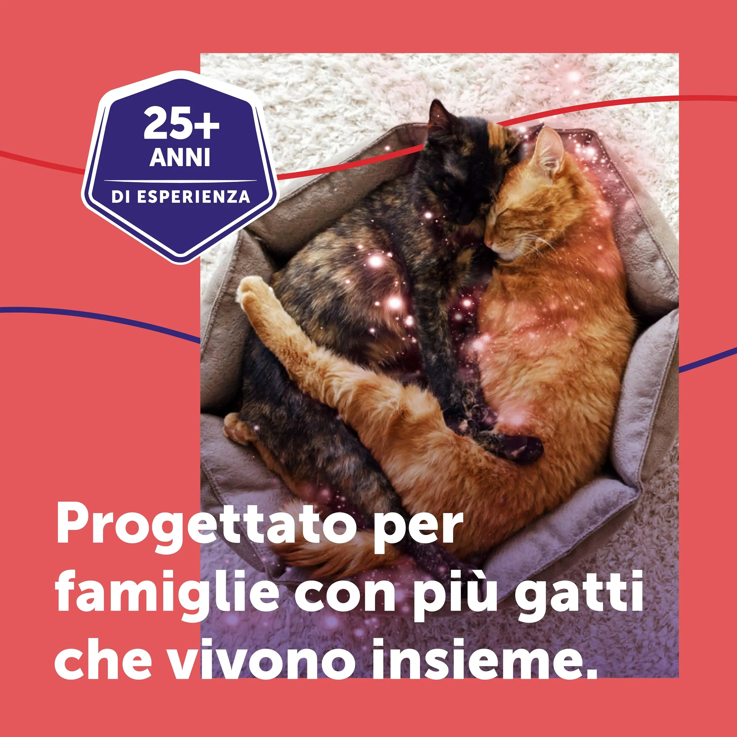 Feliway Friends Ricarica Diffusore di Feromoni Calmanti per Gatti 48ml - immagine 4