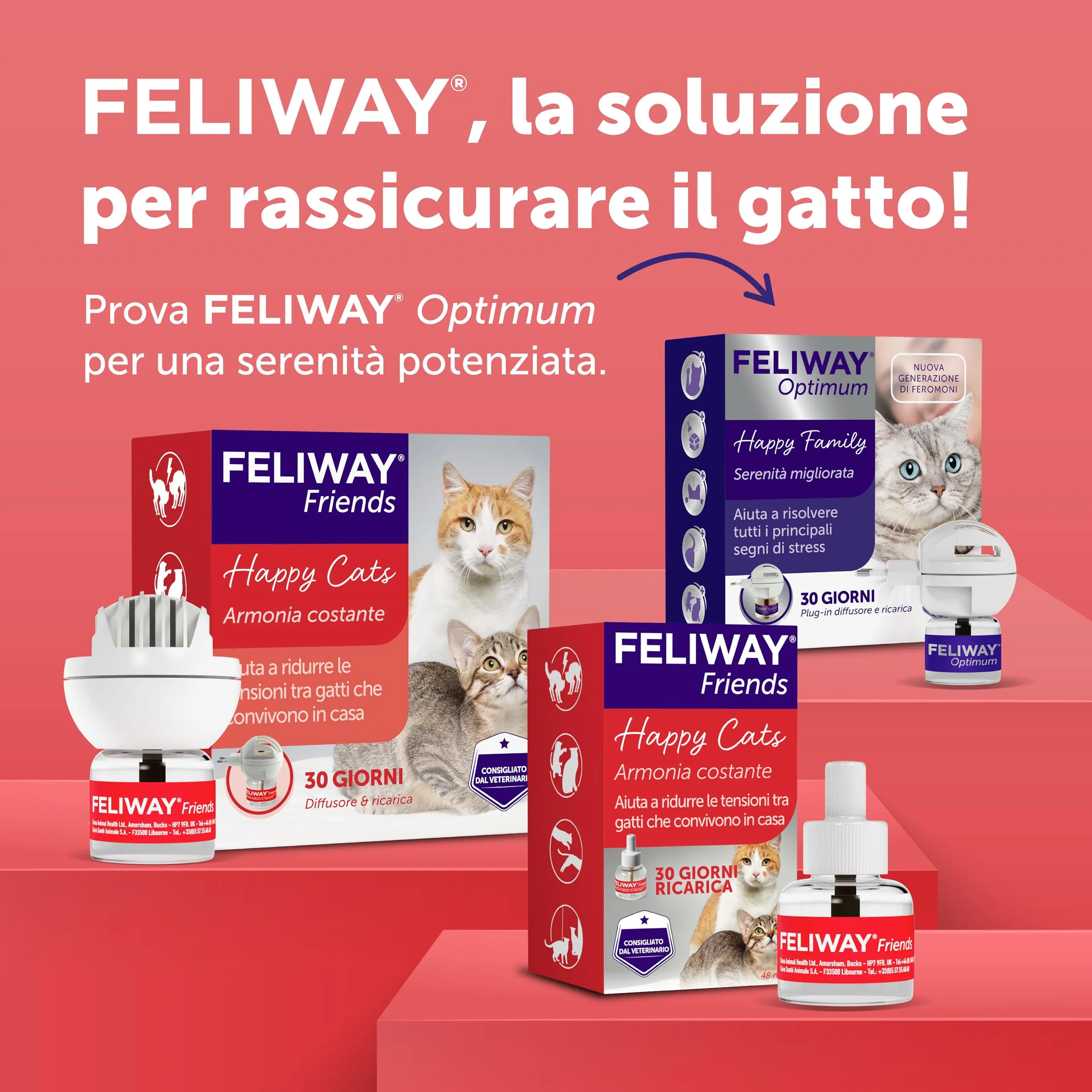 Feliway Friends Ricarica Diffusore di Feromoni Calmanti per Gatti 48ml - immagine 9