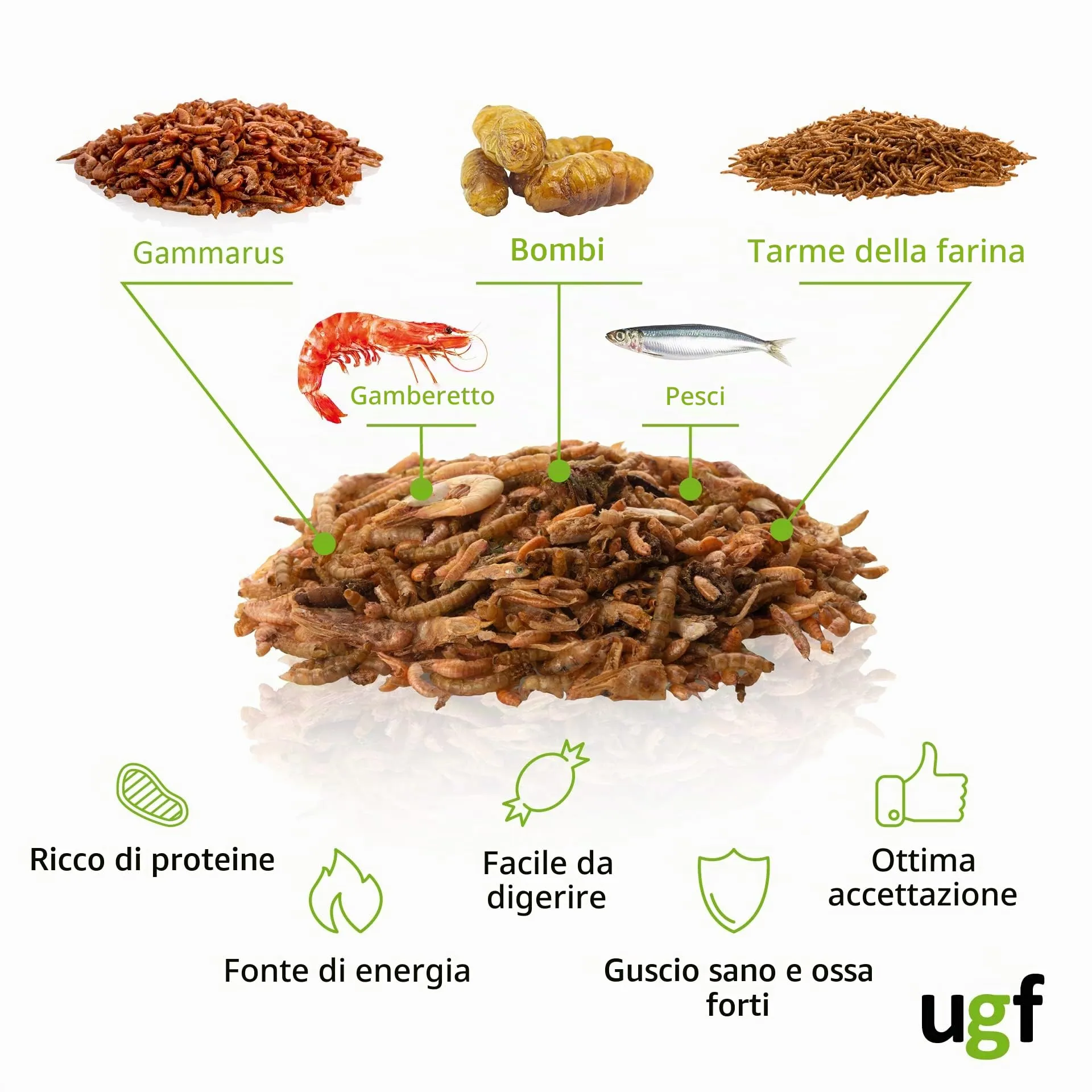 UGF Underground Food Mix Universale di Cibo per Tartarughe, 500 g (Secchio da 3 l) - immagine 3