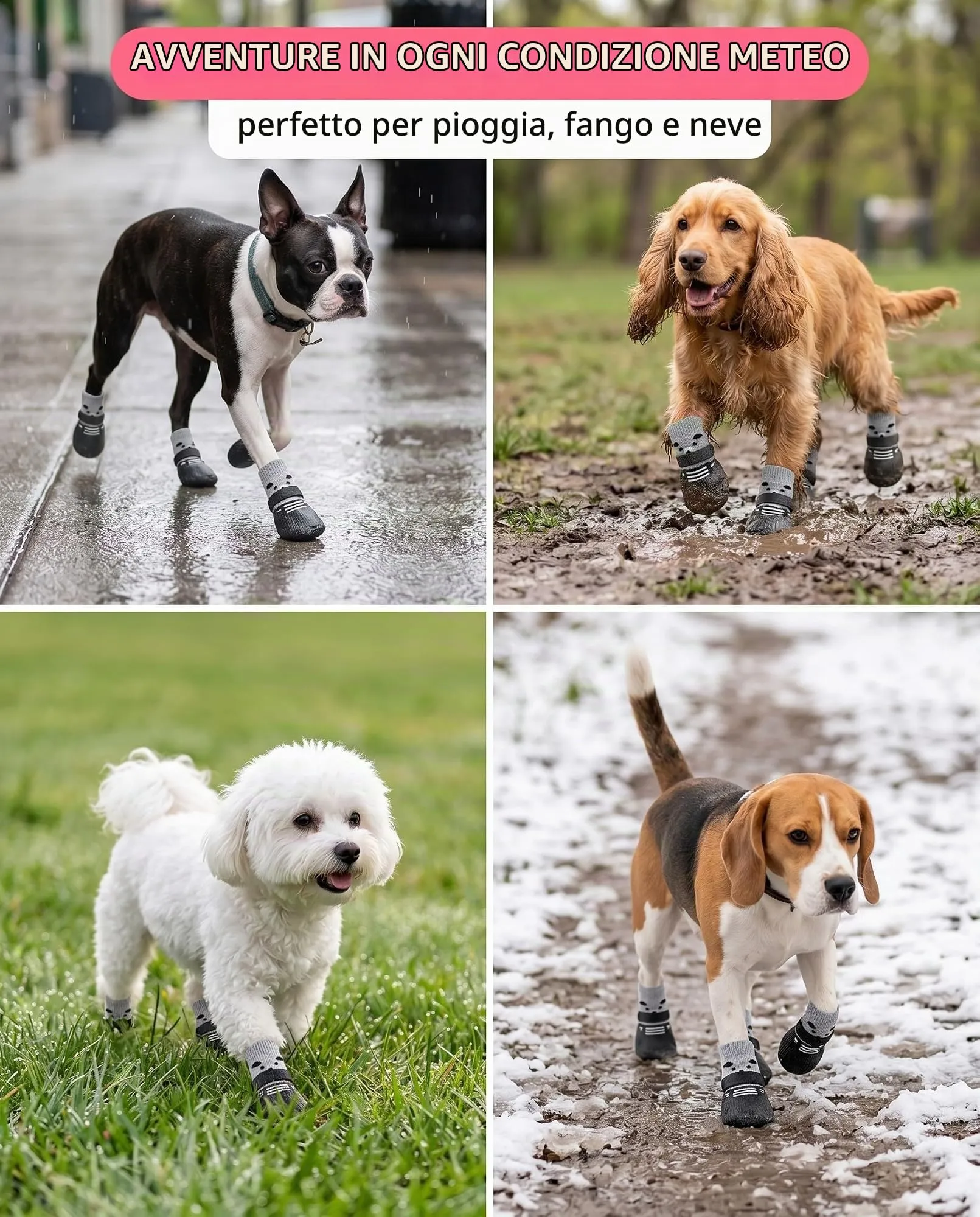 QEDBOJE Calzini per Cani, 2 Paia Impermeabili e Antiscivolo, Regolabili e Lavabili per Cani di Piccola e Media Taglia - immagine 4