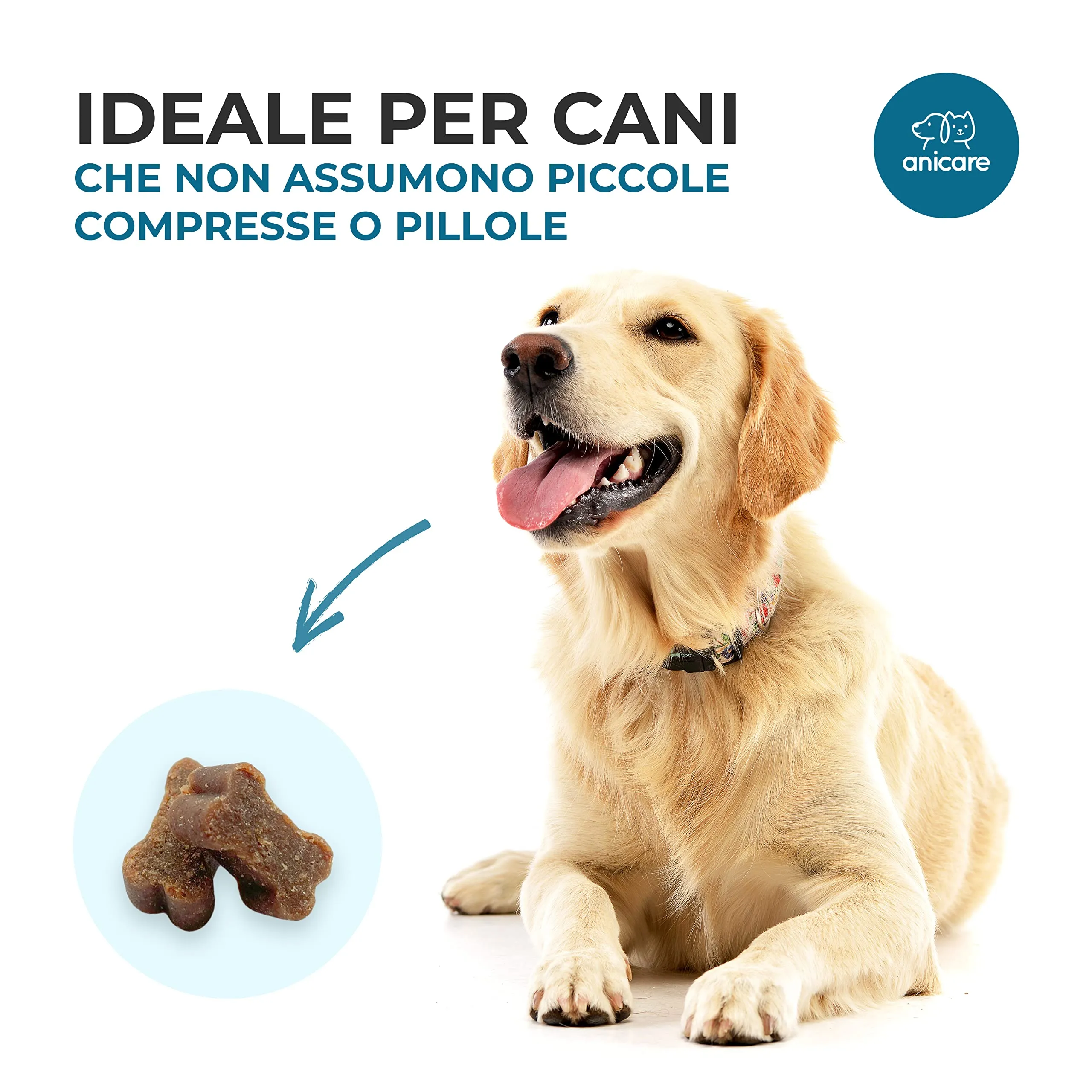 Anicare Premium Joint Care Chews per Cani con Glucosamina, Condroitina, MSM e Cozze dalle Labbra Verdi - immagine 7