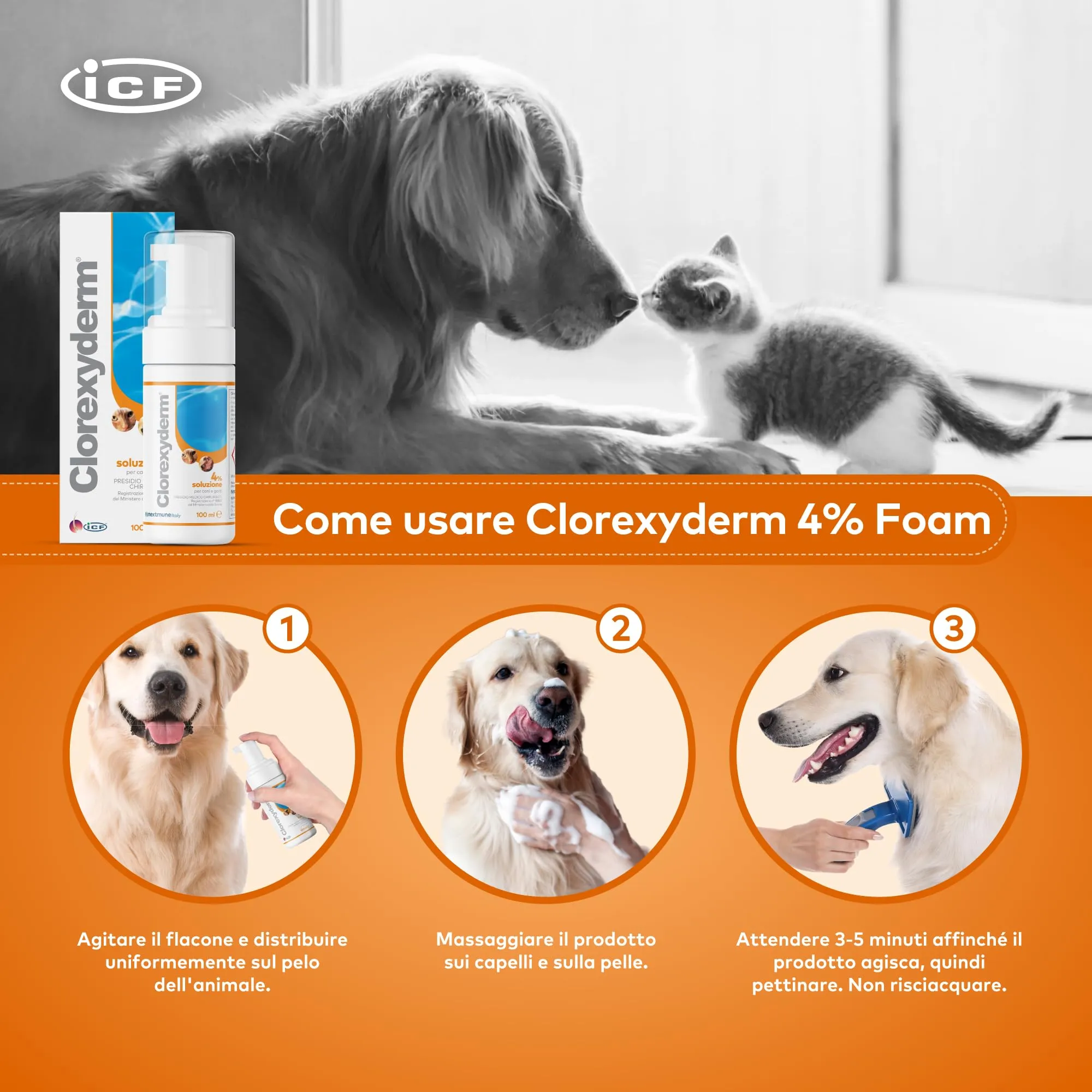 ICF Clorexyderm Solution 4% Foam 100 ml - immagine 3