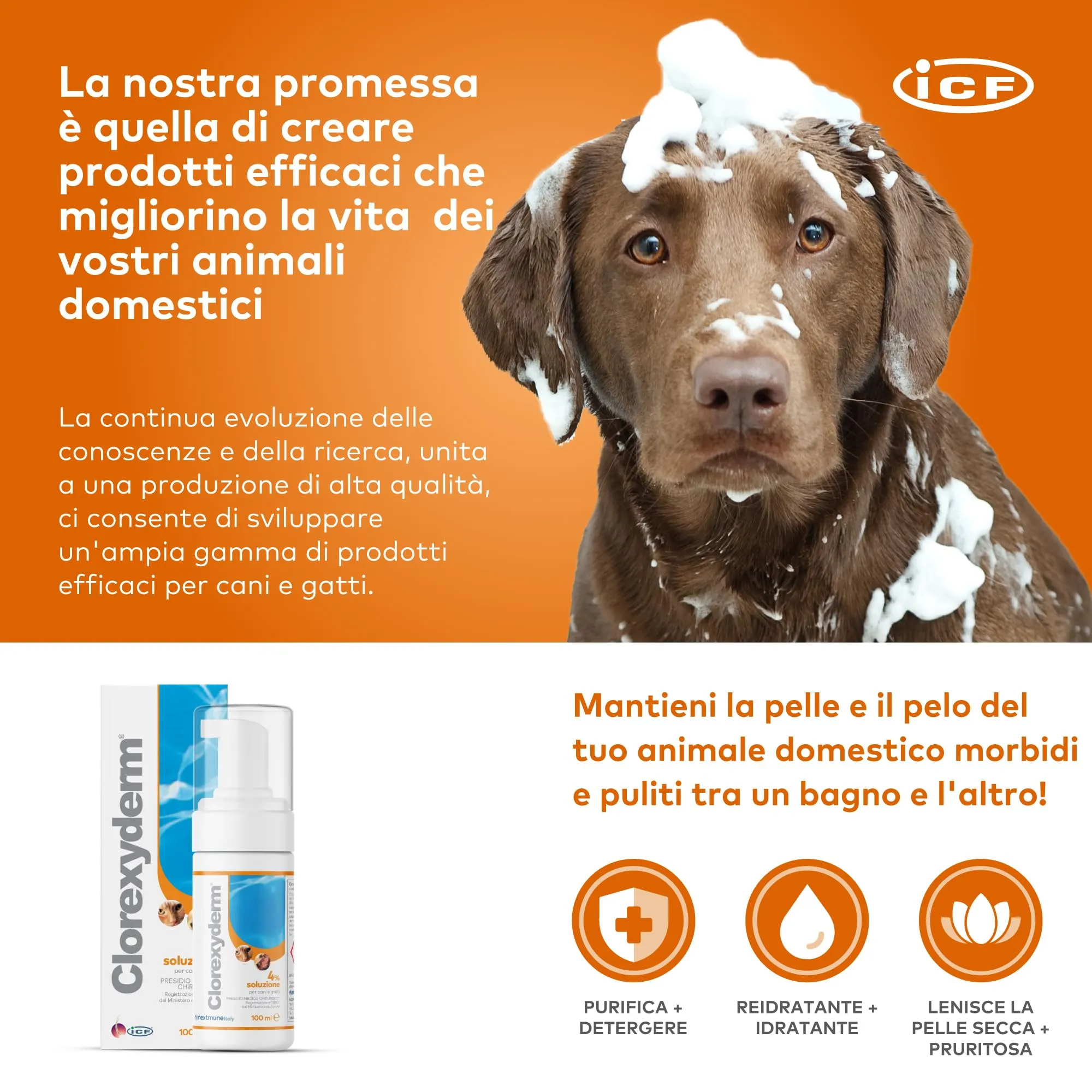 ICF Clorexyderm Solution 4% Foam 100 ml - immagine 4