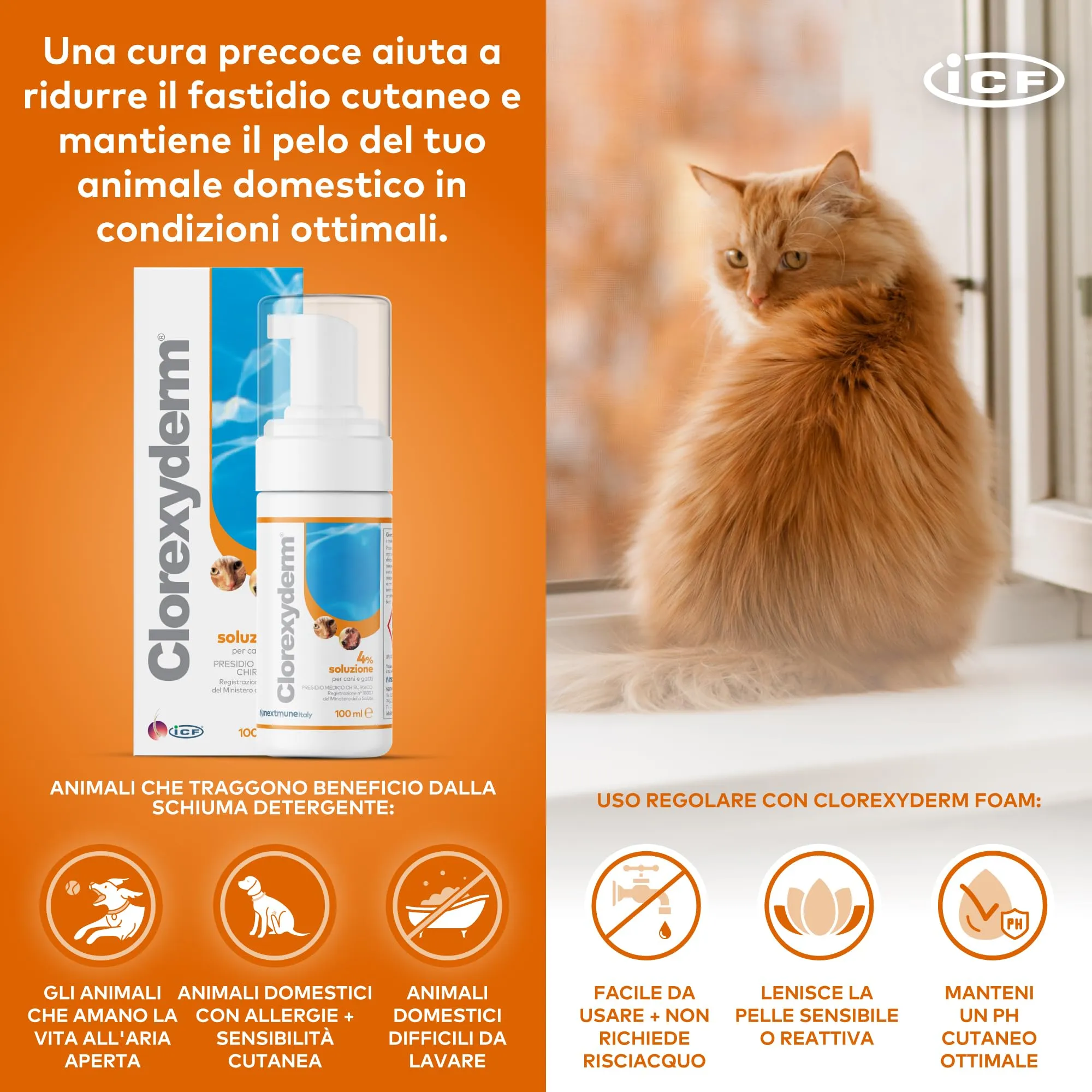 ICF Clorexyderm Solution 4% Foam 100 ml - immagine 5