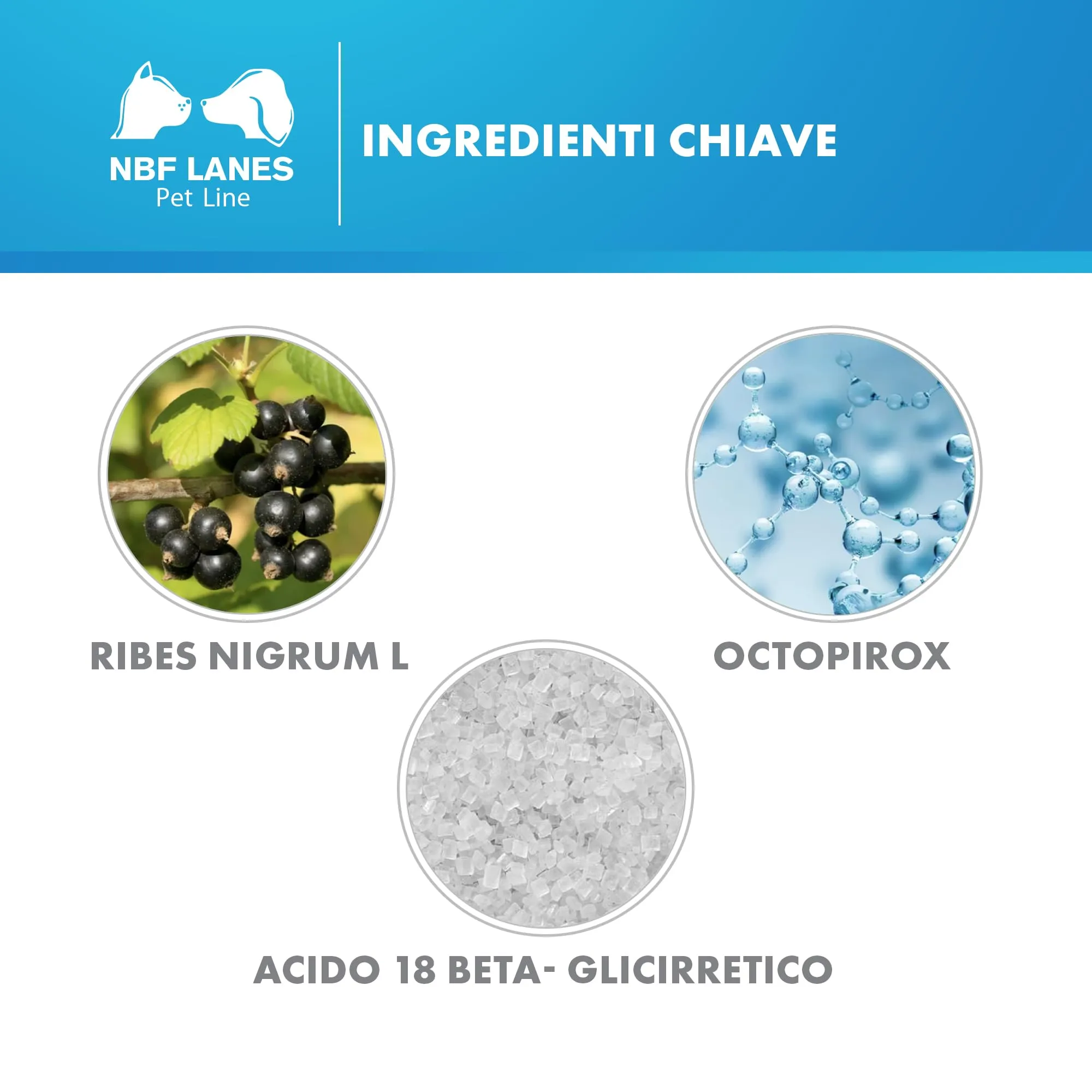 NBF Lanes Ribes Pet Shampoo Balsamo Dermatologico Cane e Gatto 200 ml - immagine 5