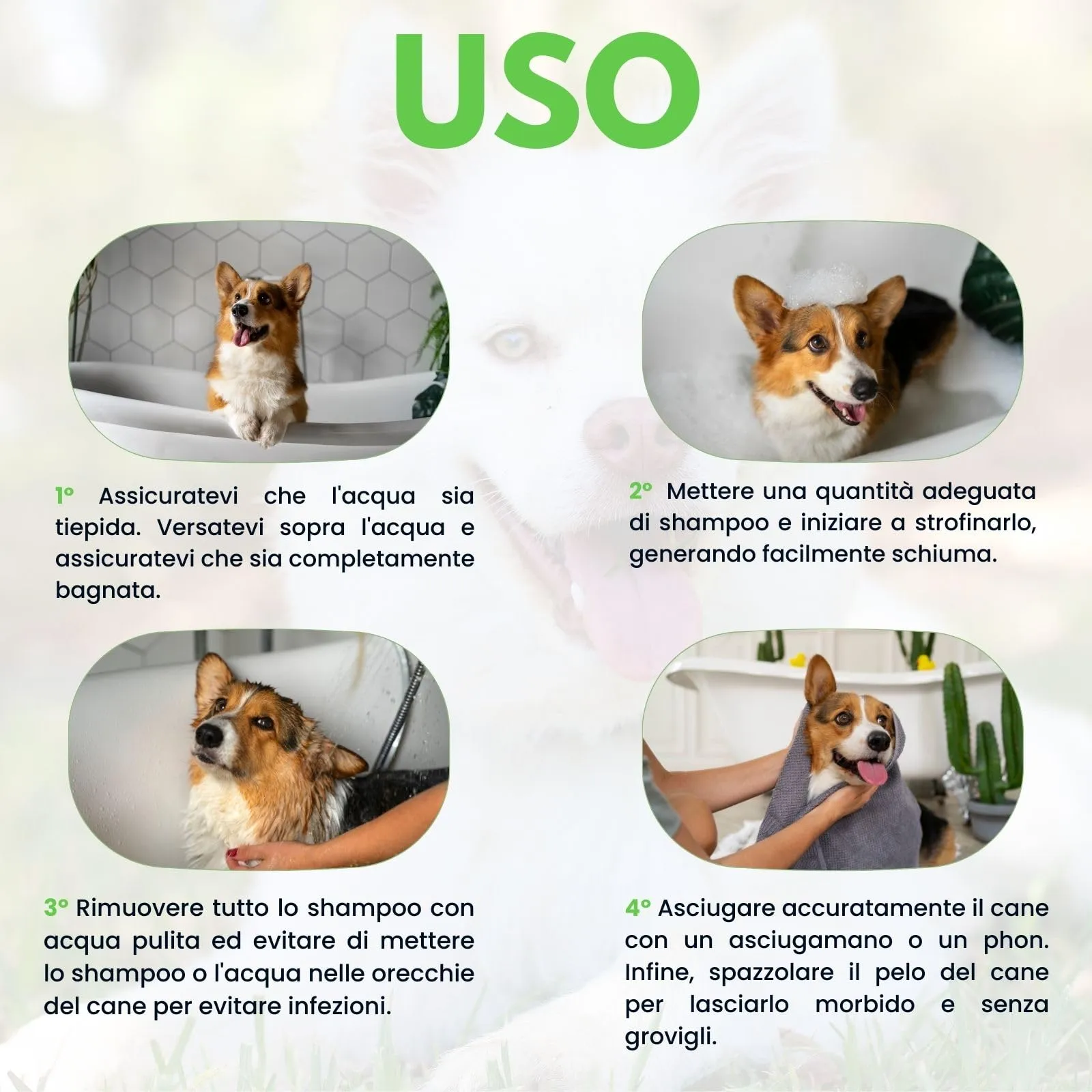 Plantawa Shampoo per Cani all'Aloe Vera, 1L - immagine 3