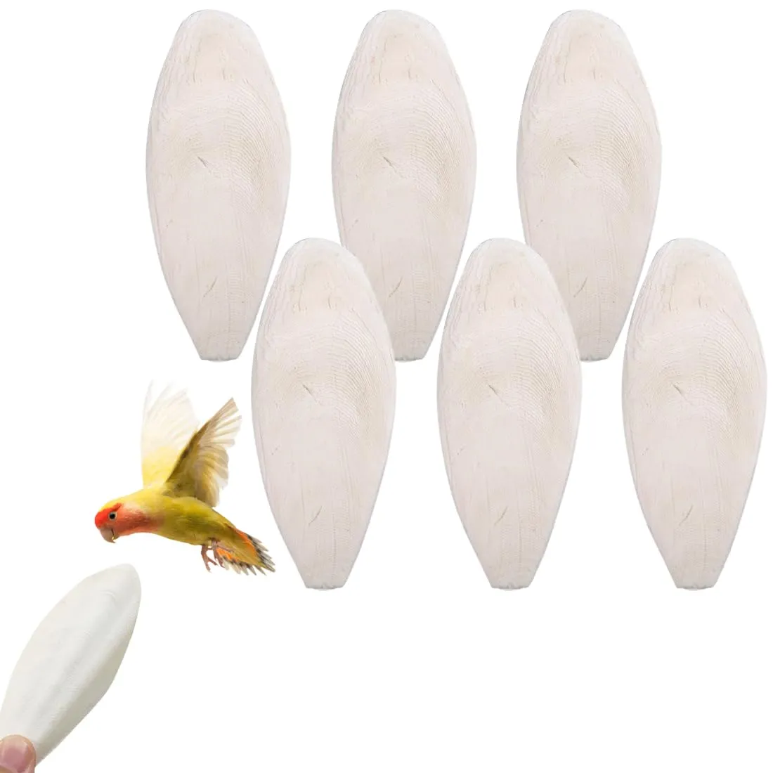 WeddHuis Osso di Seppia per Tartarughe, Uccelli, Rettili e Lumache, 6 Pezzi (10-12cm) - immagine 1