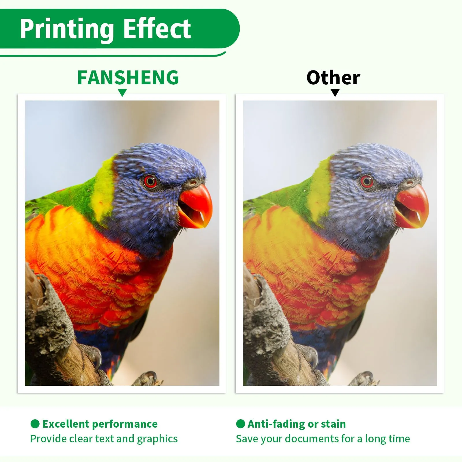FANSHENG Inchiostro Compatibile con Epson 113 per Ecotank ET-5150 ET-5170 ET-16650 ET-16600 ET-16150 ET-15000 ET-5100 ET-5160 ET-5800 Pro ET-5850 (4 Pack BK/C/M/Y) - immagine 4