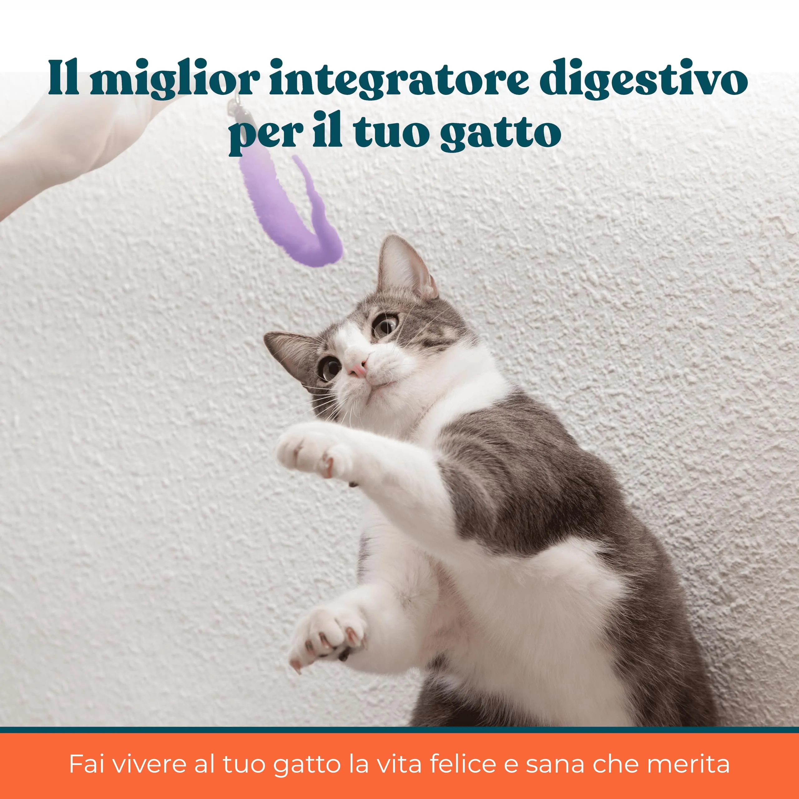 Integropet Probiotici per Gatti Gusto Pollo e Pesce, 60 bocconcini - immagine 7