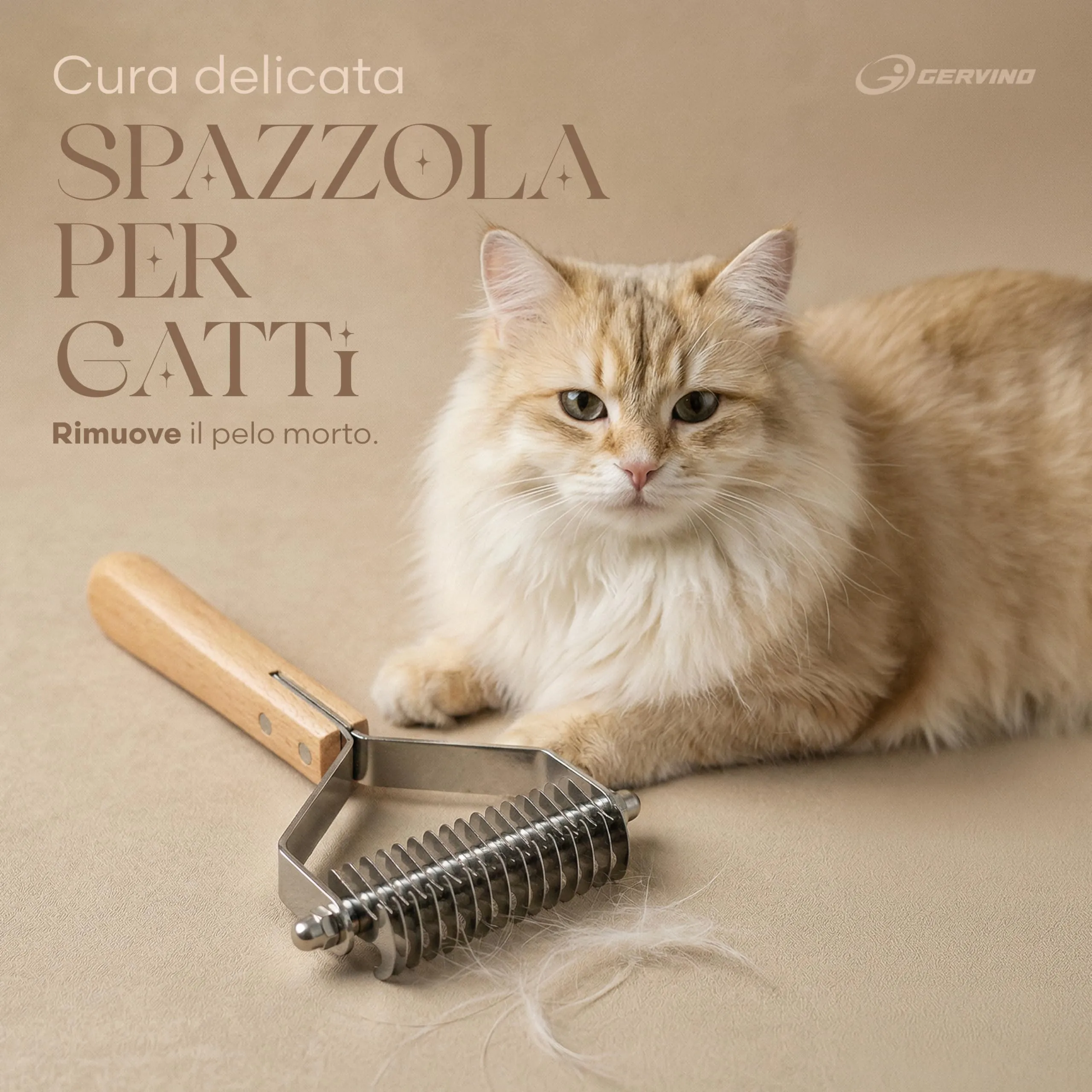 Gervino Spazzola per Gatti e Cani in Legno e Acciaio Inox, 18,5 x 8,3 cm - immagine 2