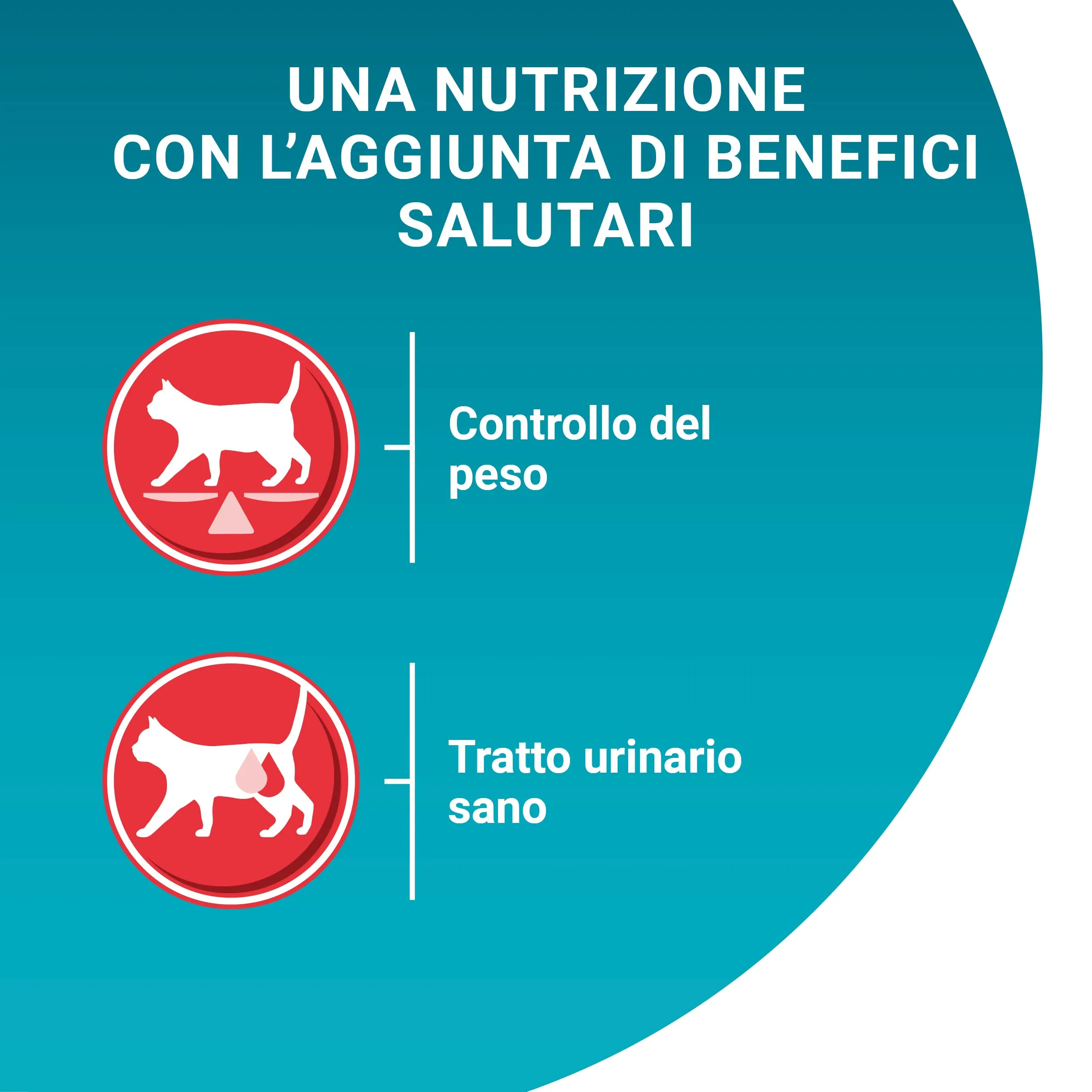 Purina One Sterilcat Cibo Umido per Gatti Adulti, 48 Bustine da 85 g - immagine 5